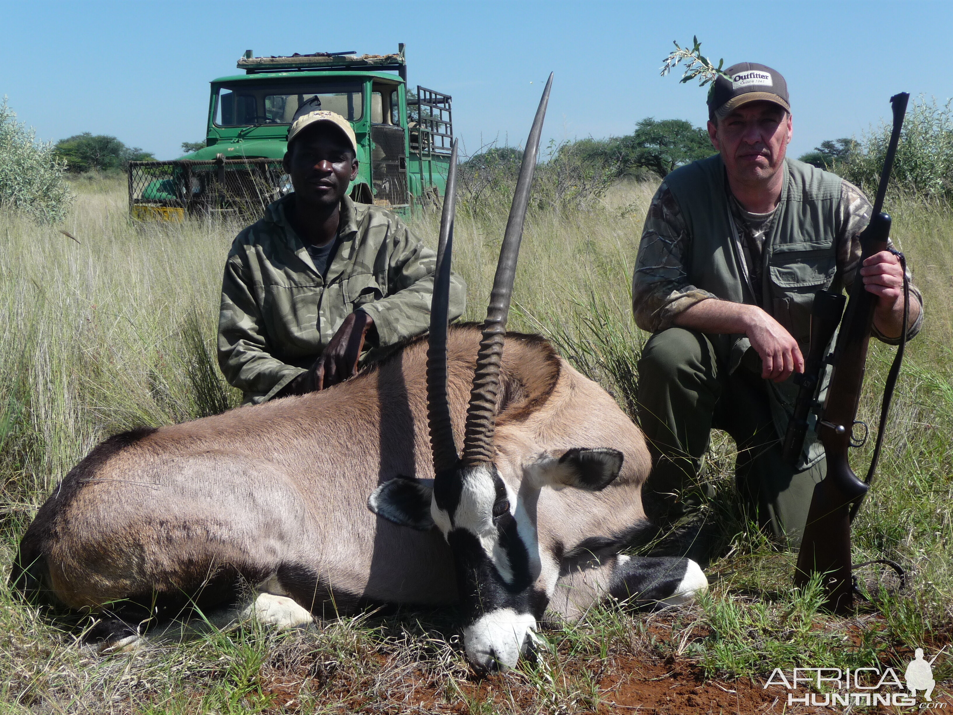 Gemsbok