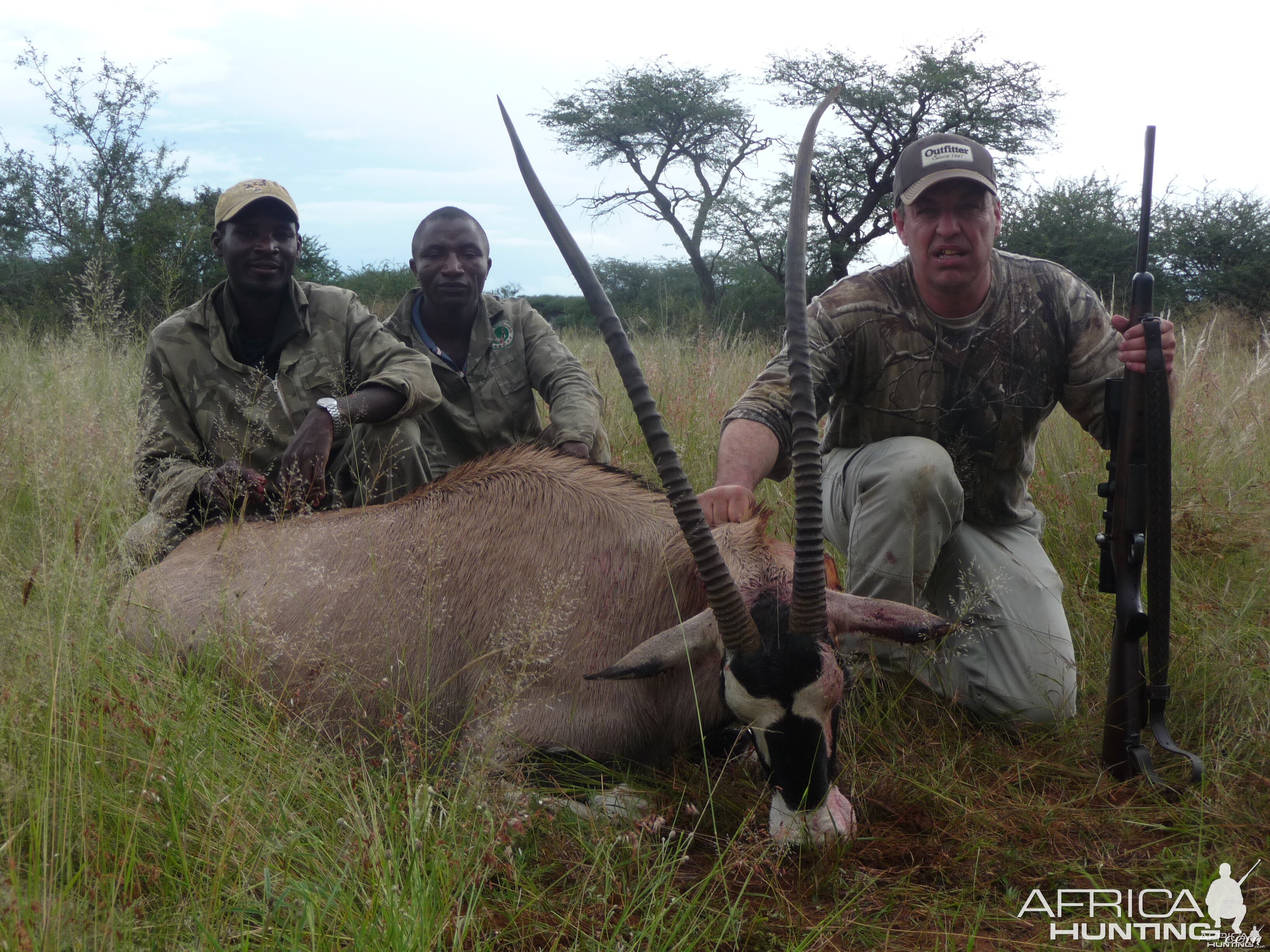 Gemsbok