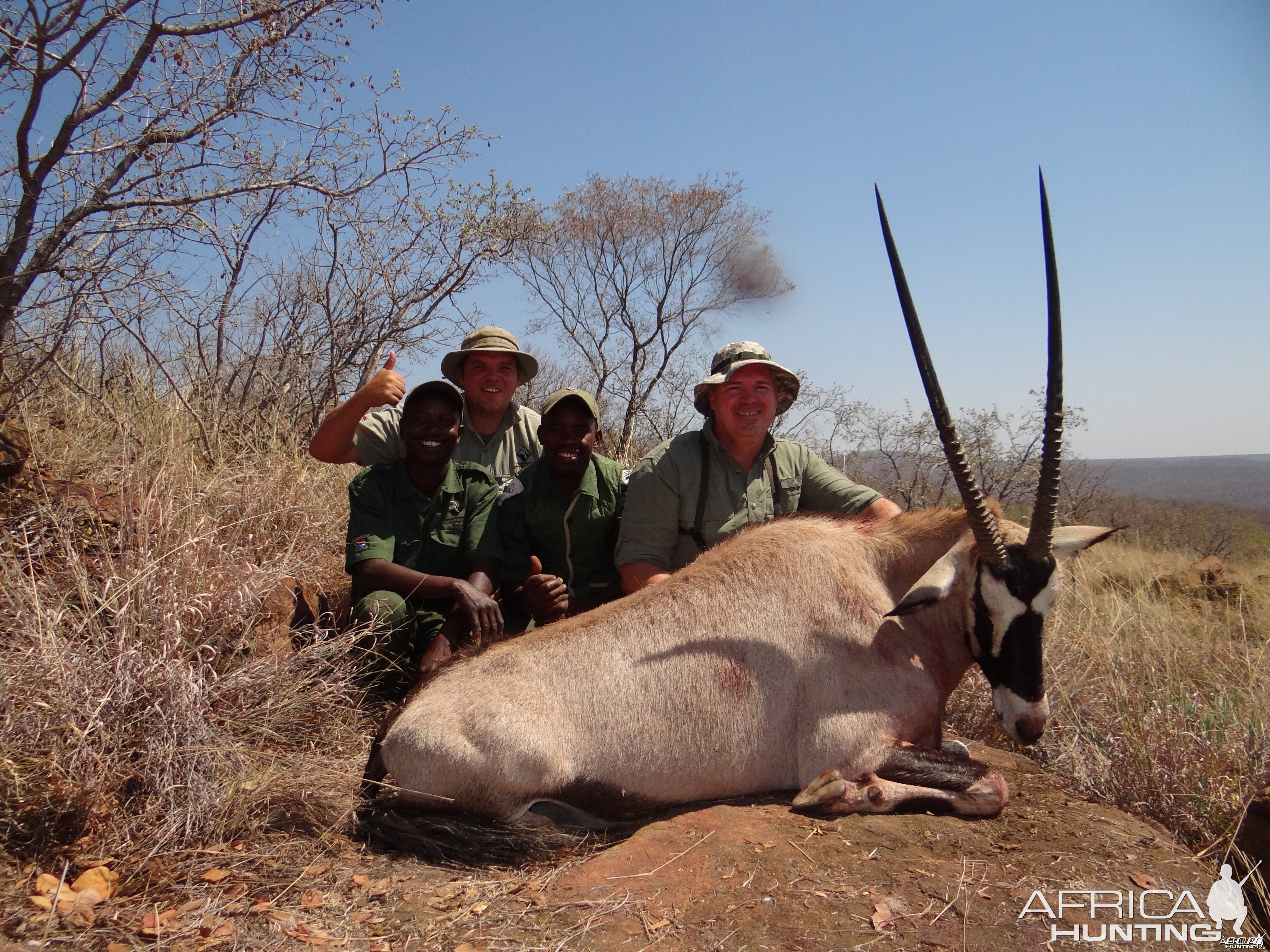 Gemsbok