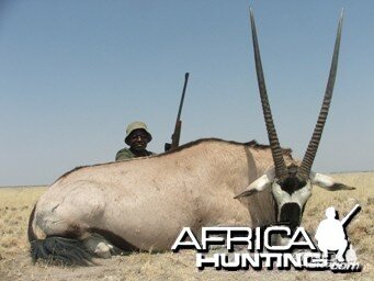 Gemsbok