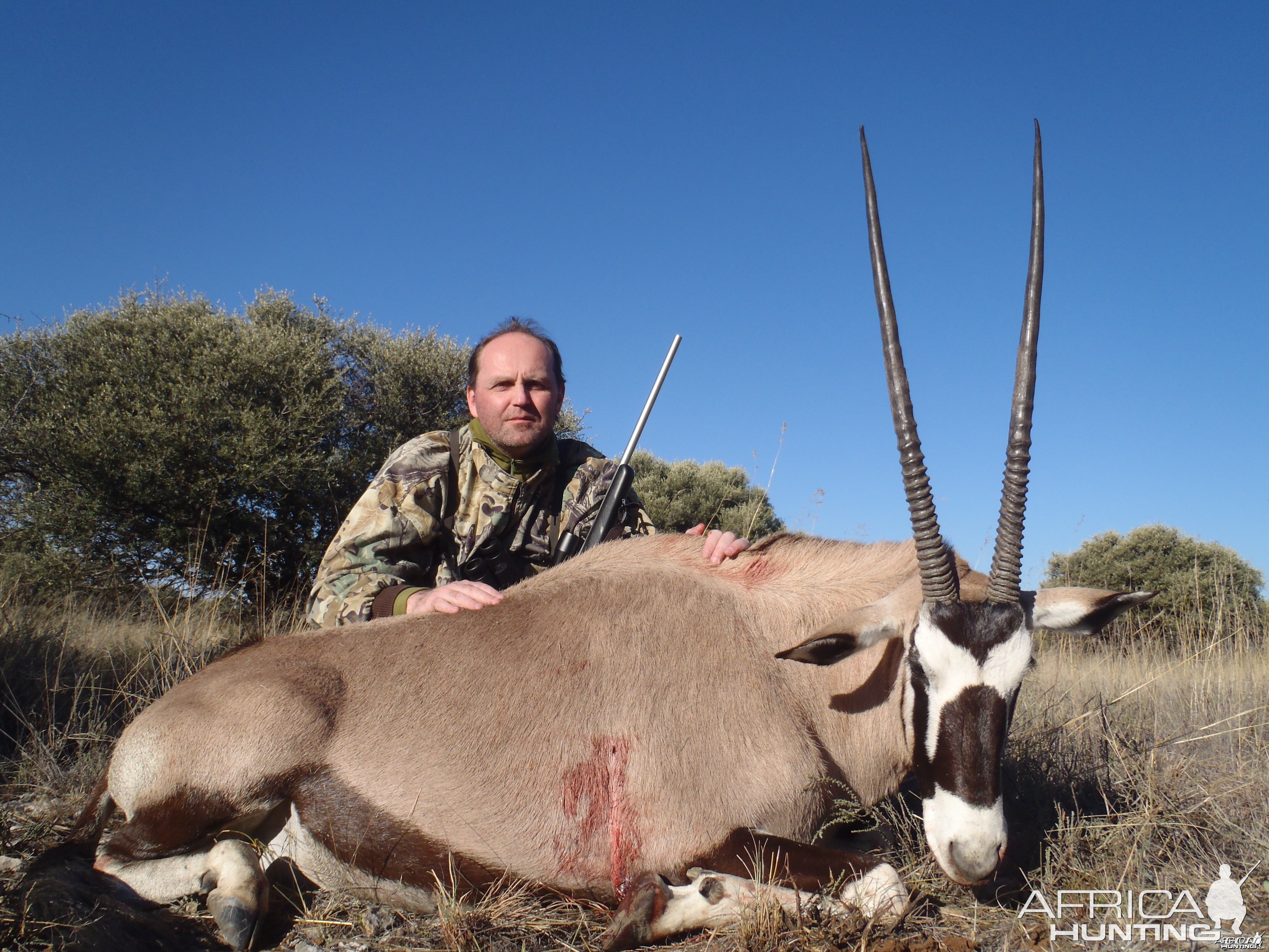 Gemsbok