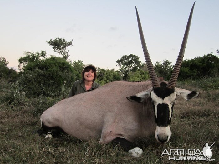 Gemsbok