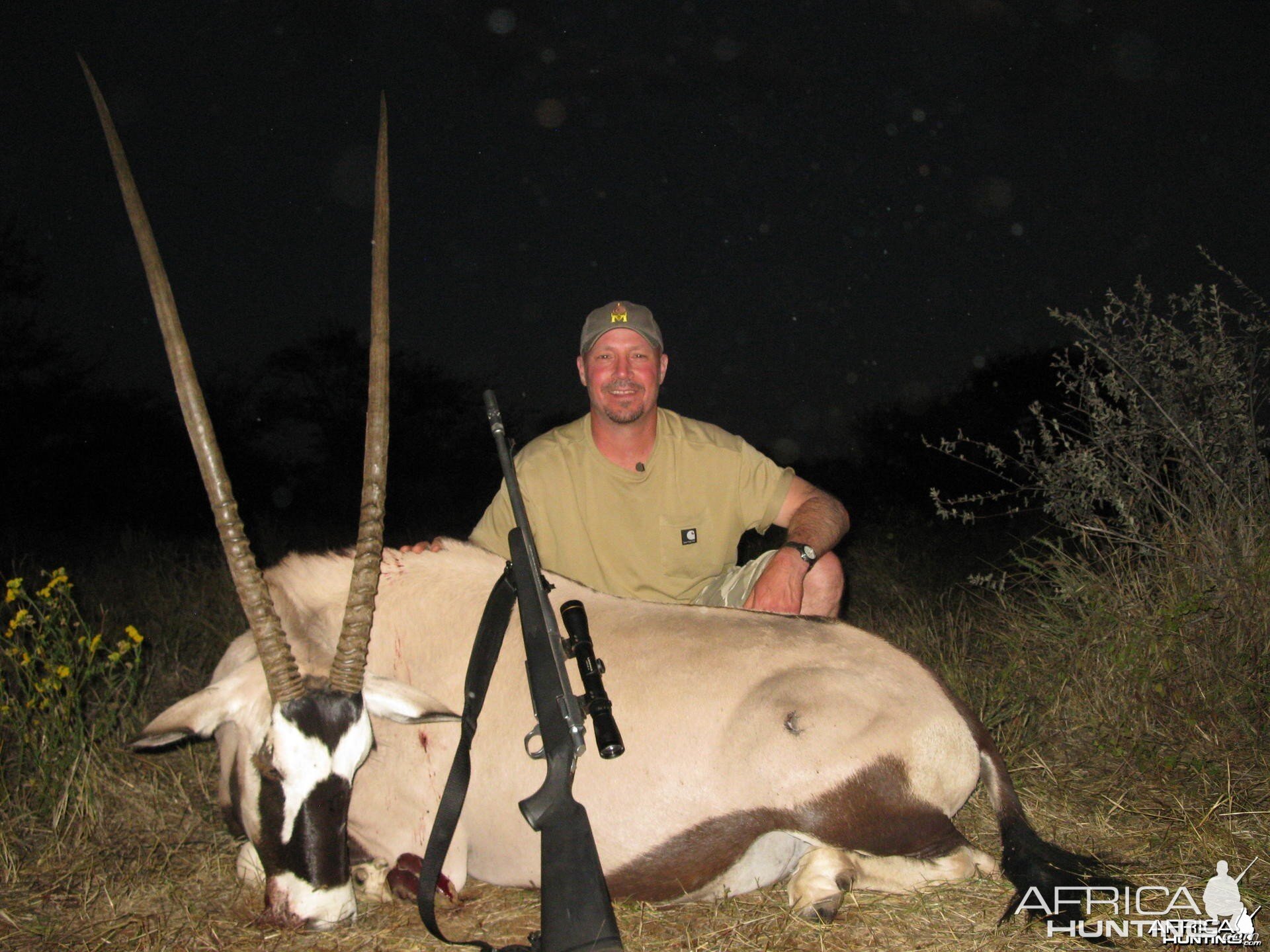 Gemsbok