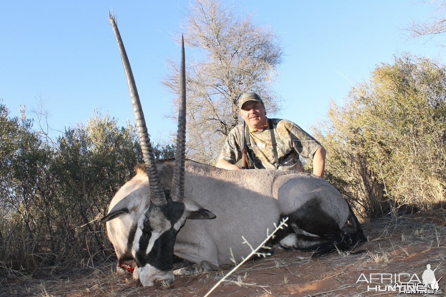 Gemsbok