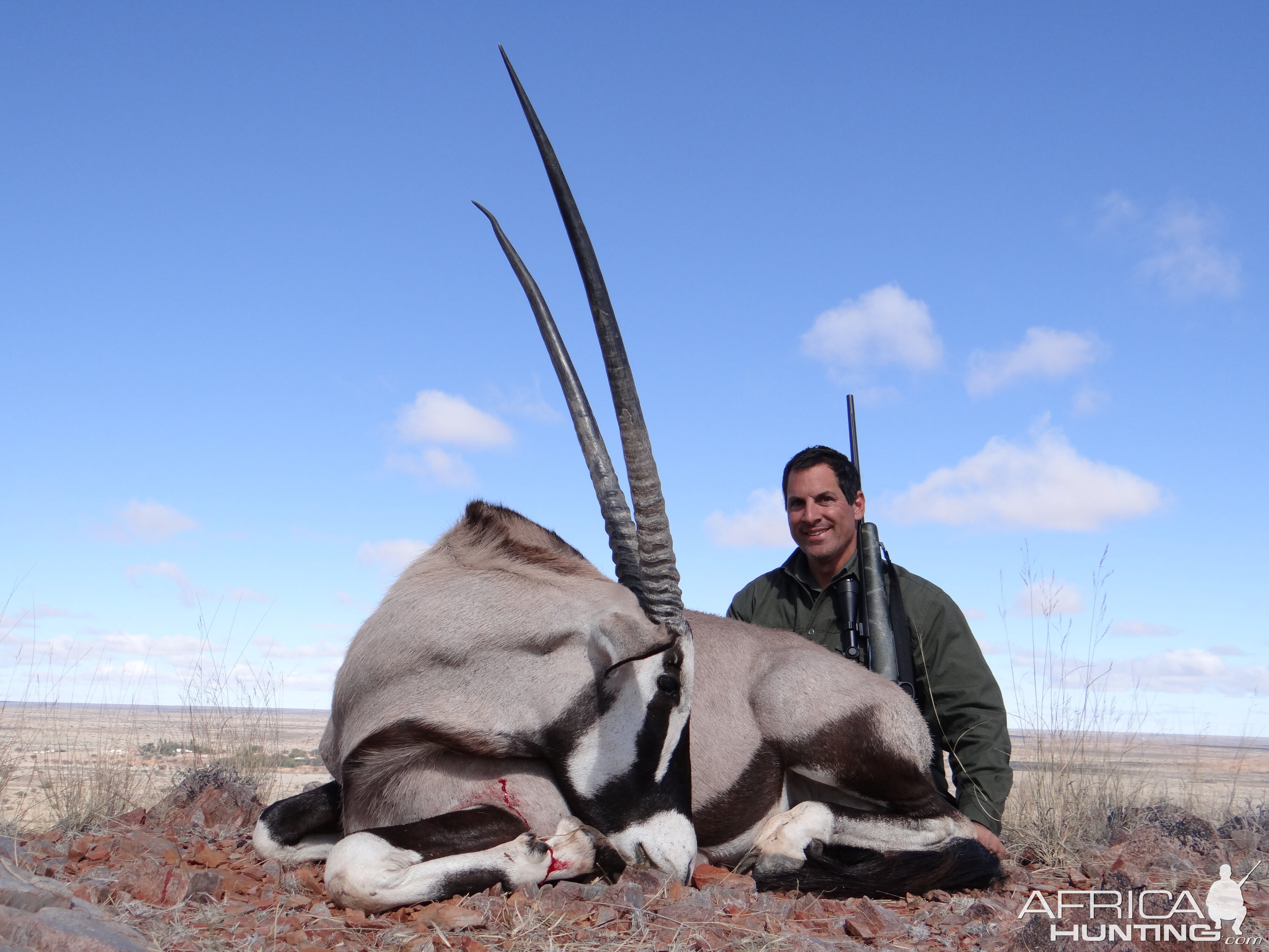 Gemsbok