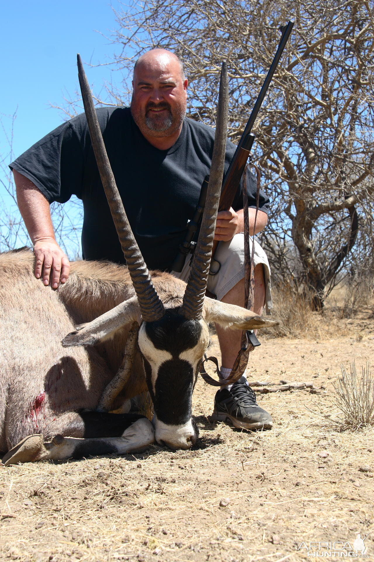 Gemsbok