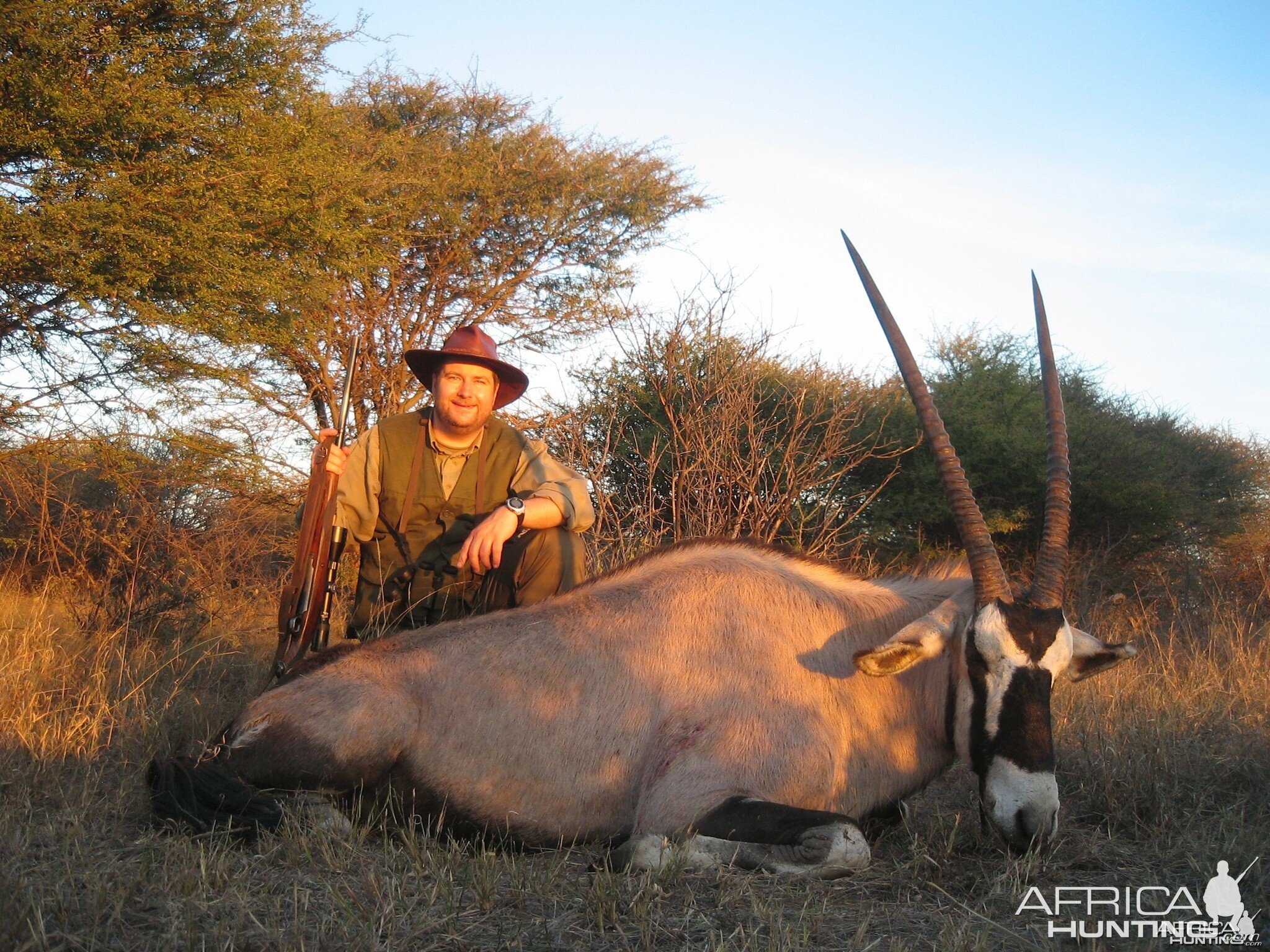 Gemsbok