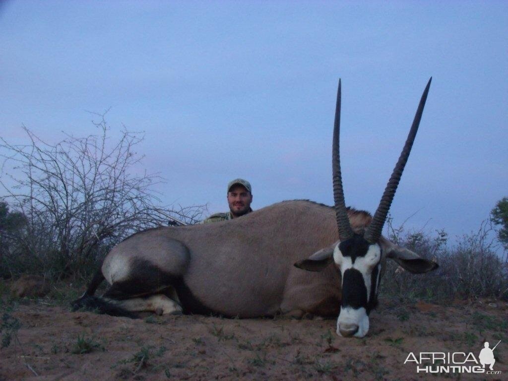 Gemsbok