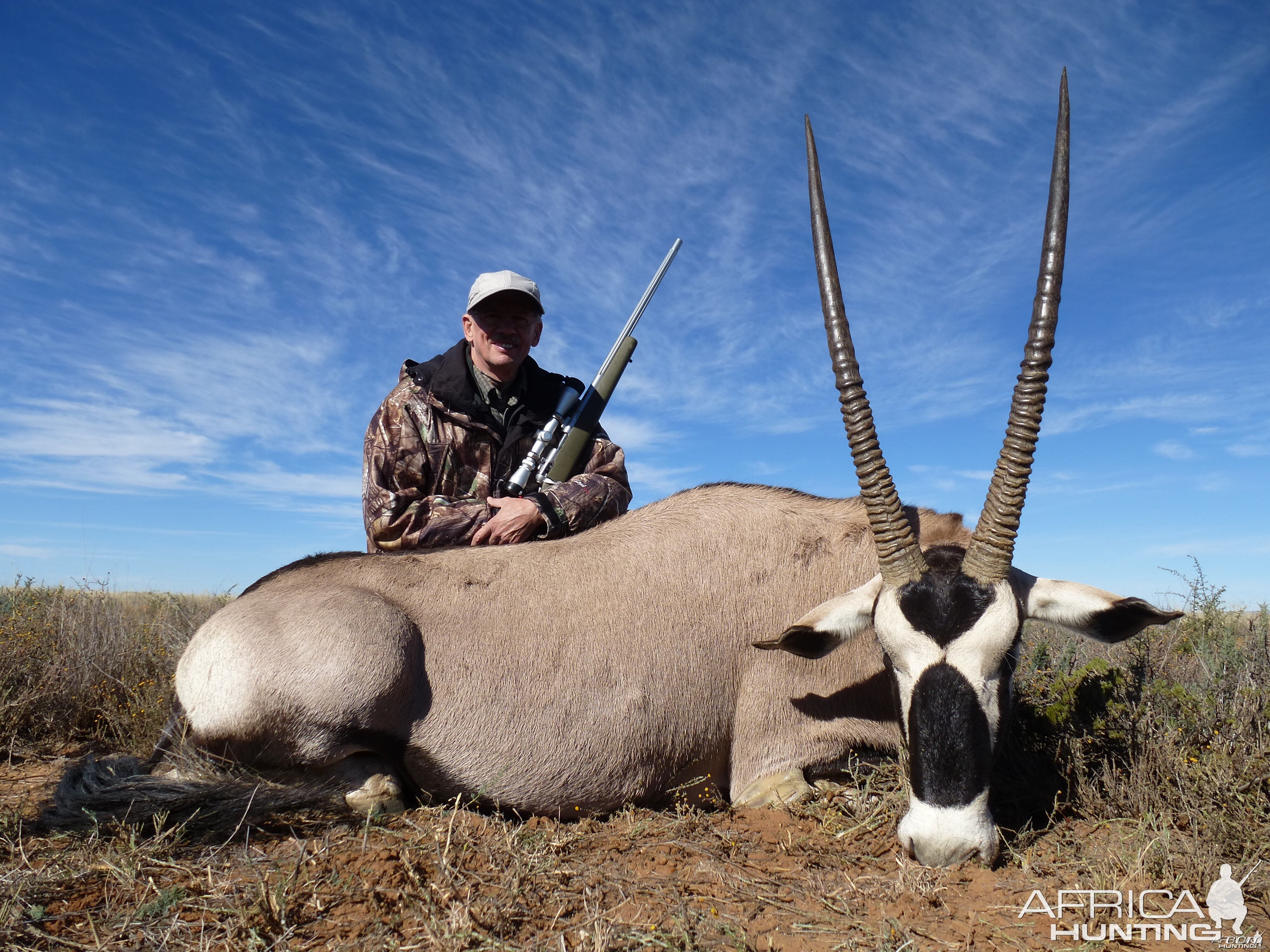 Gemsbok