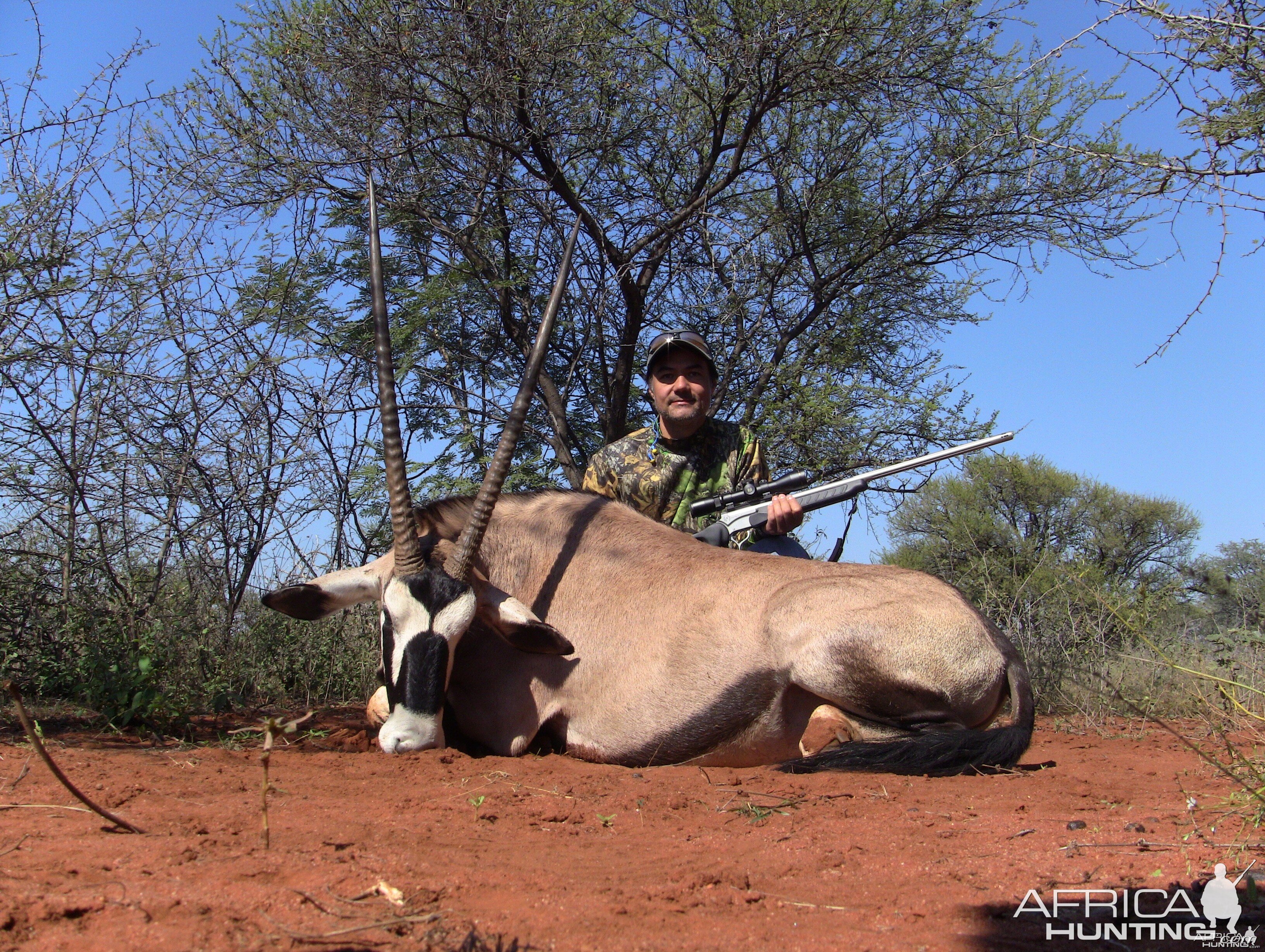 Gemsbok