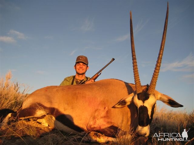 Gemsbok