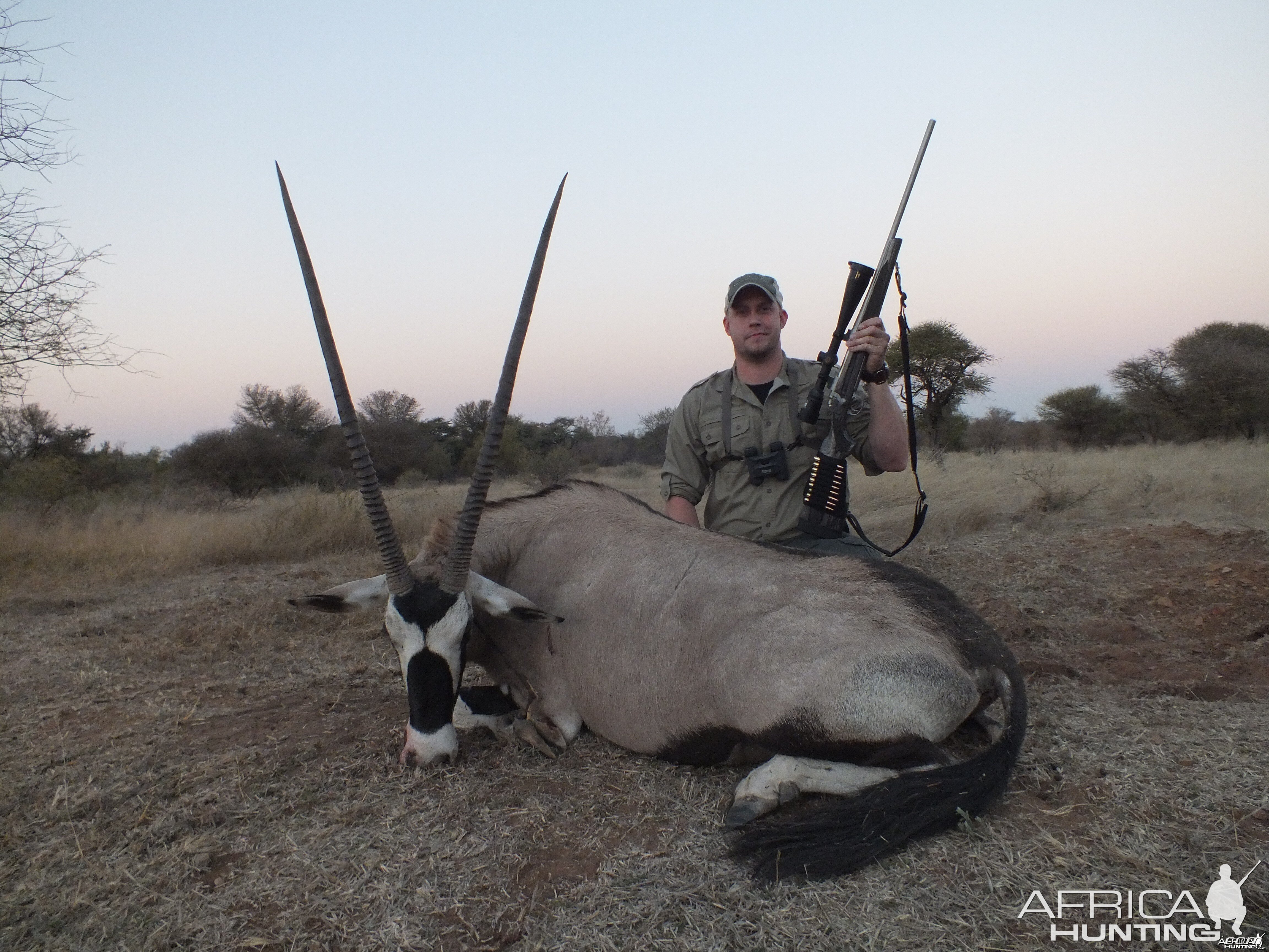 Gemsbok