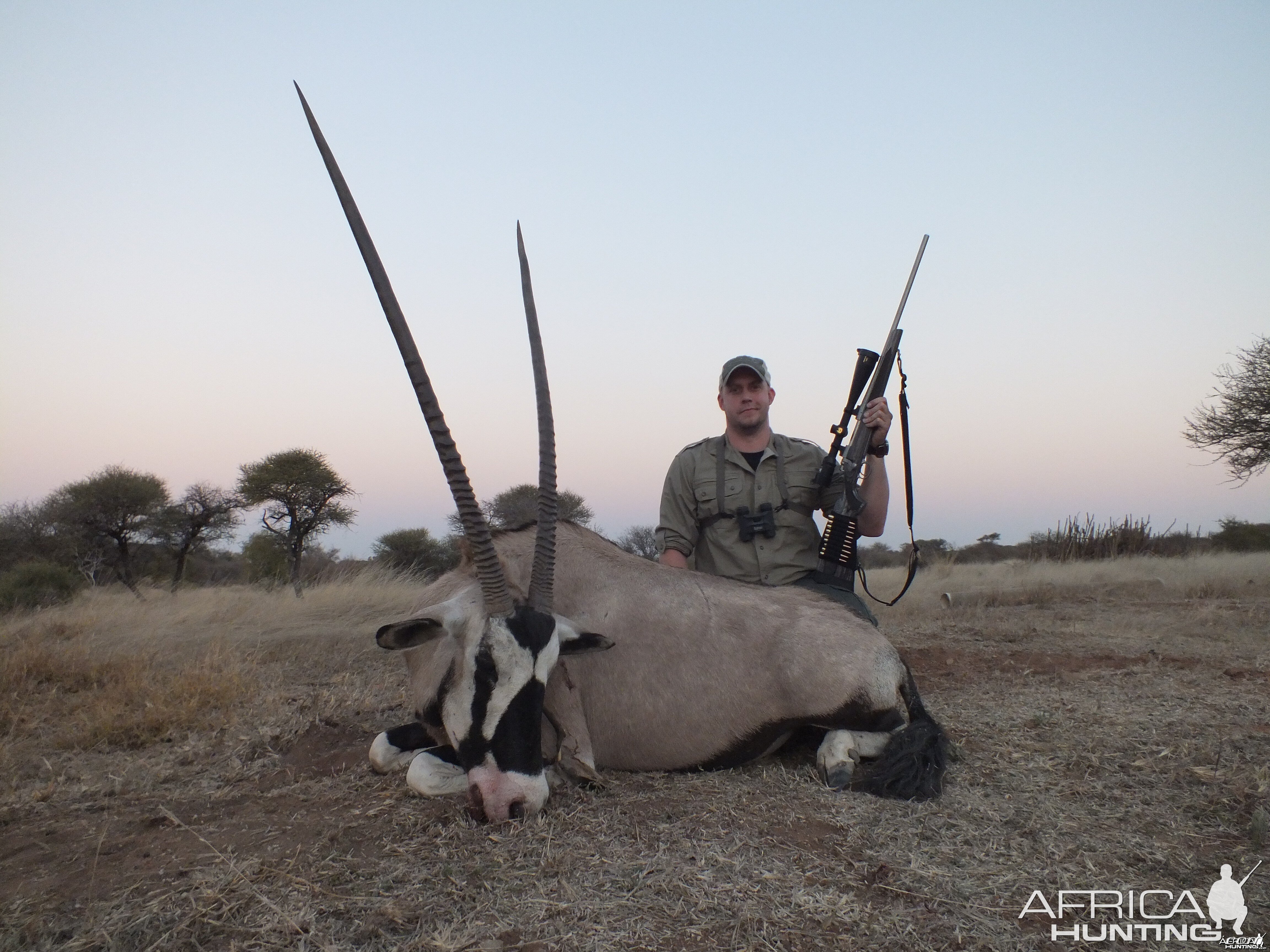 Gemsbok