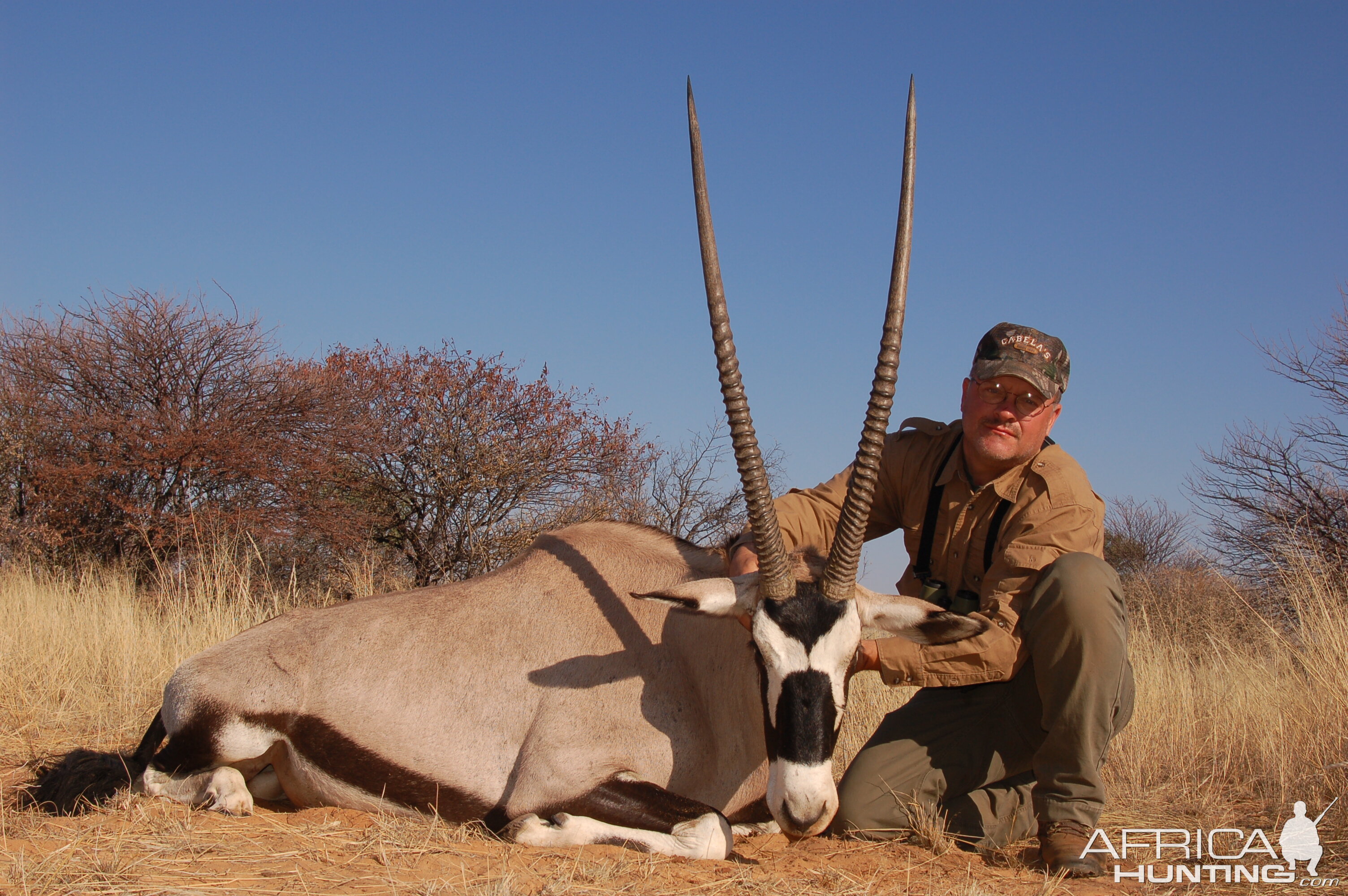 Gemsbok