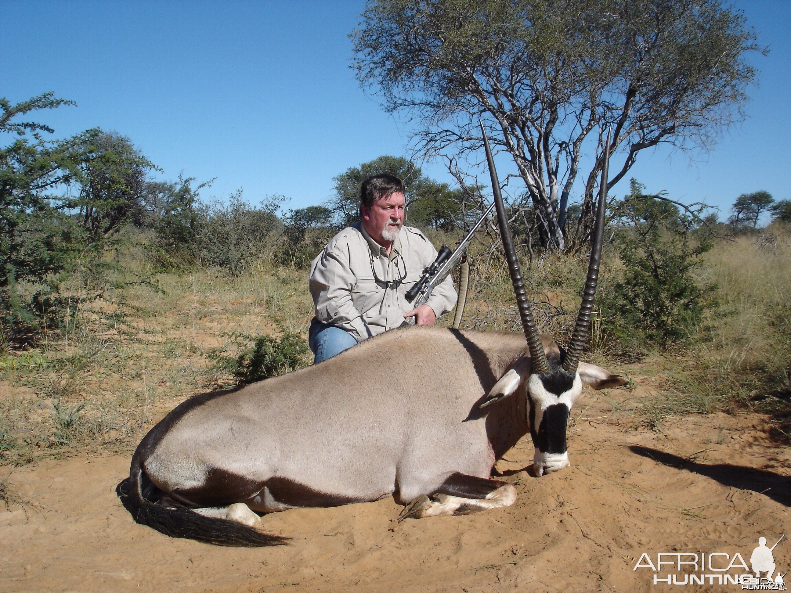 Gemsbok