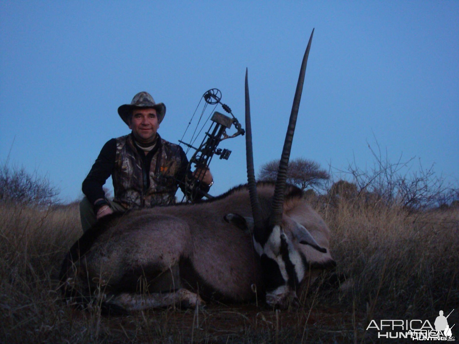 Gemsbok