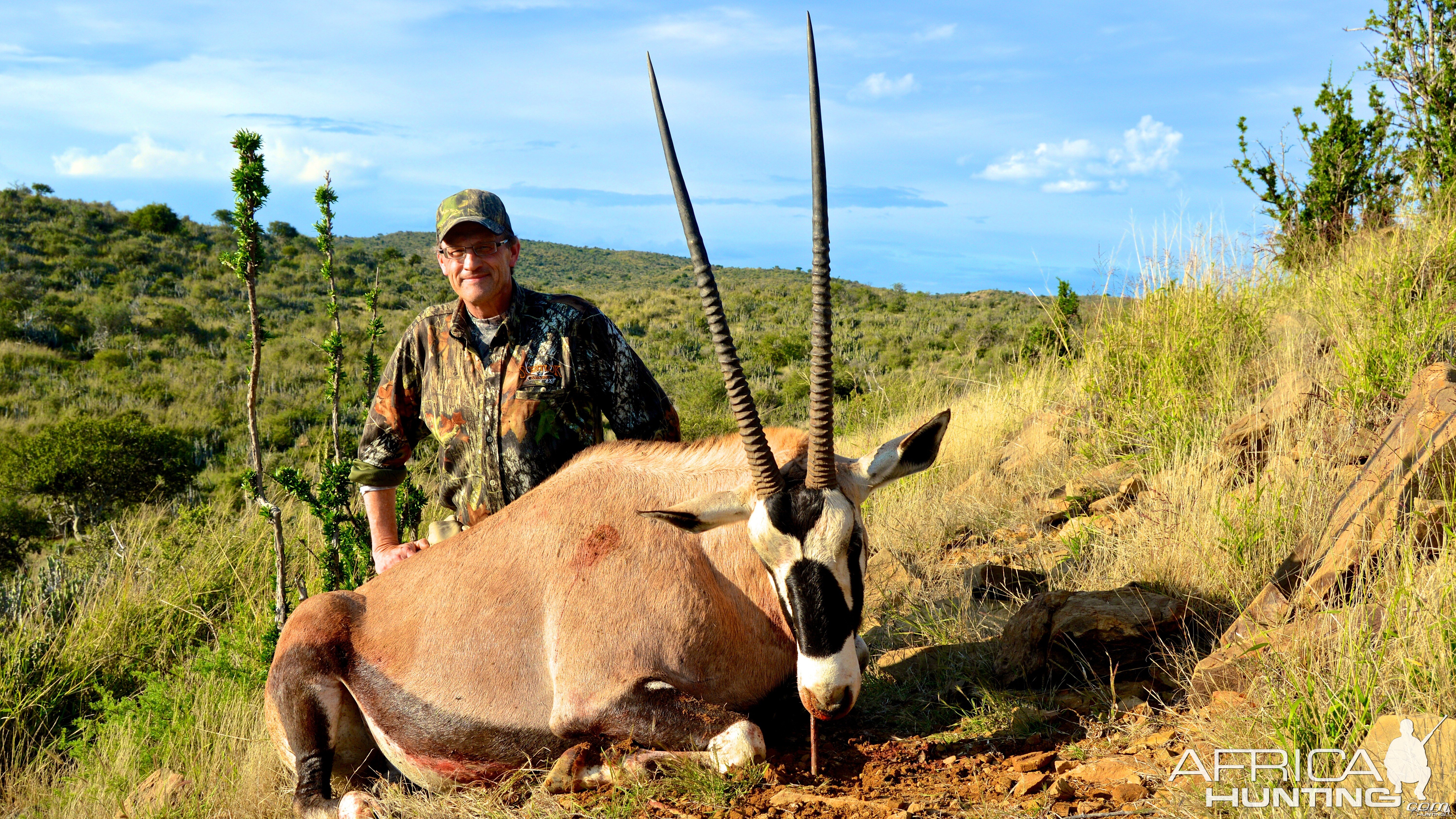 Gemsbok