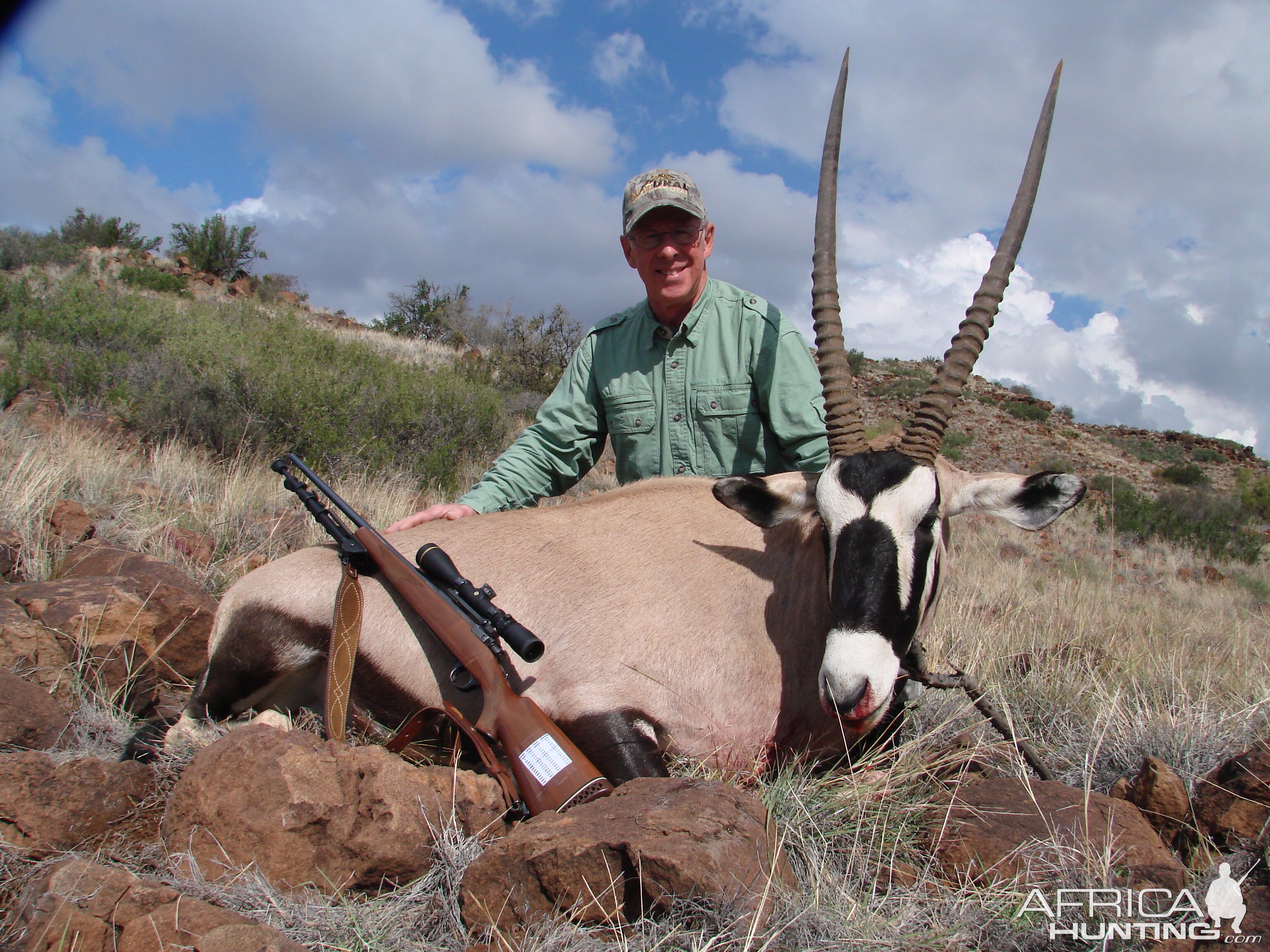 Gemsbok