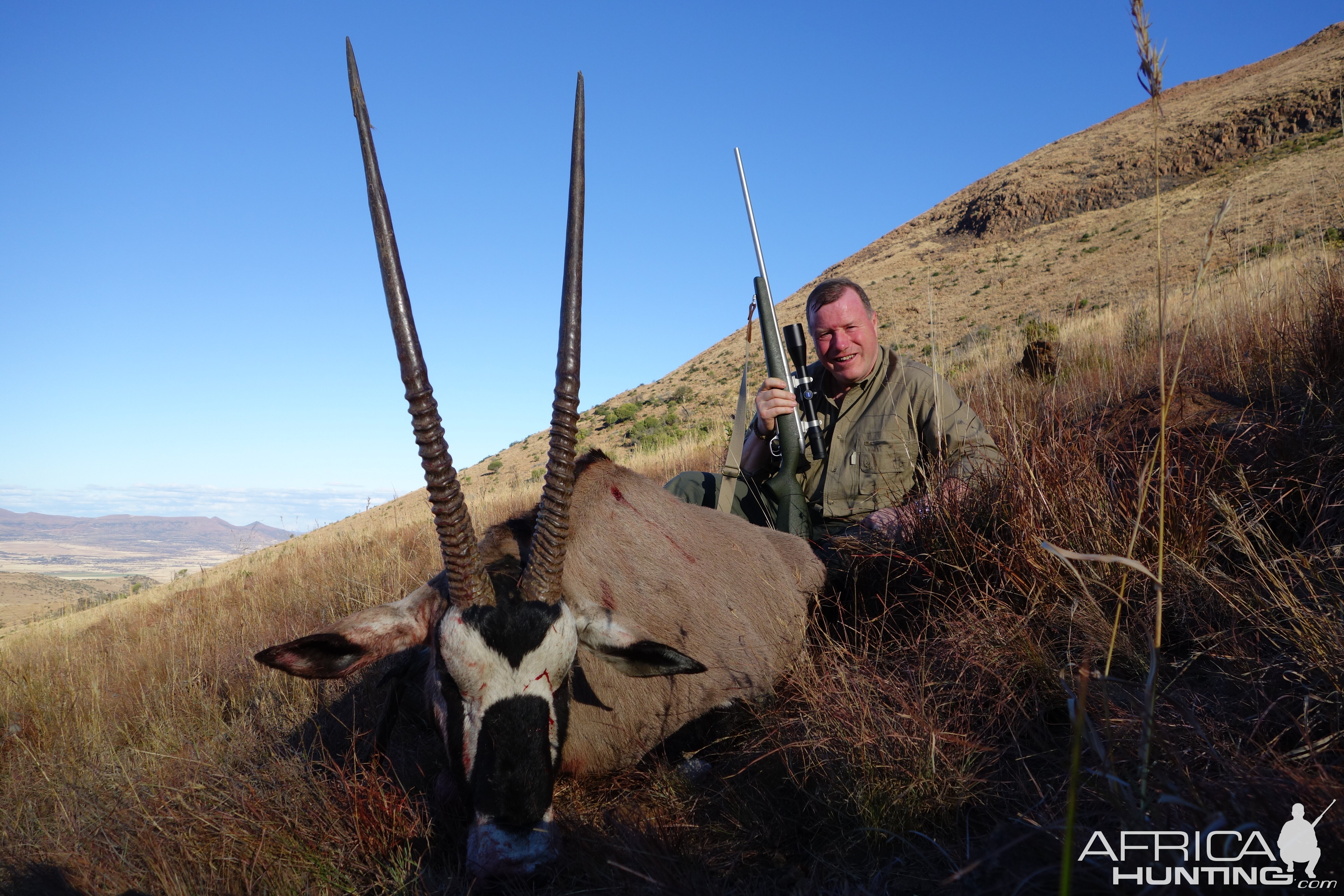 Gemsbok