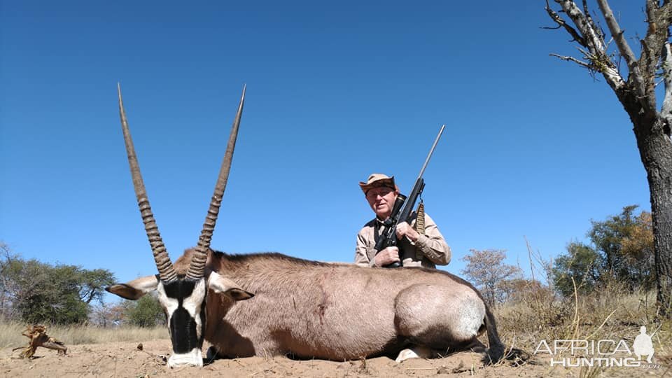 Gemsbok