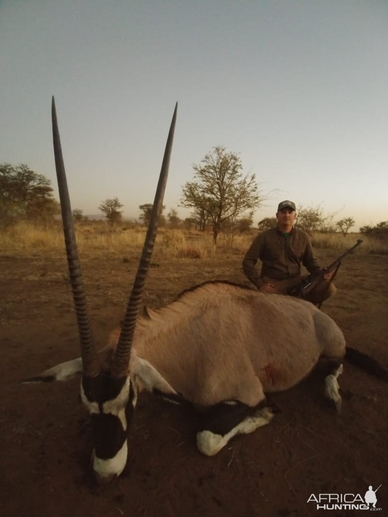 Gemsbok