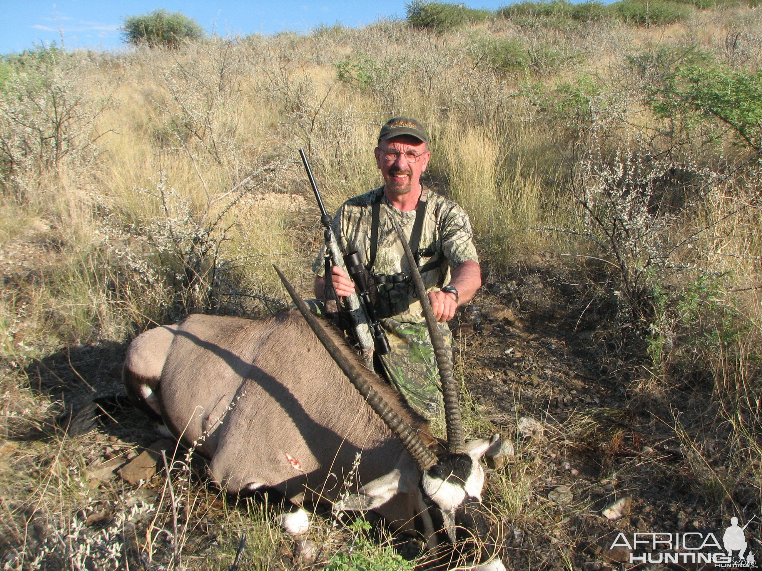 Gemsbuck Bull Namibia