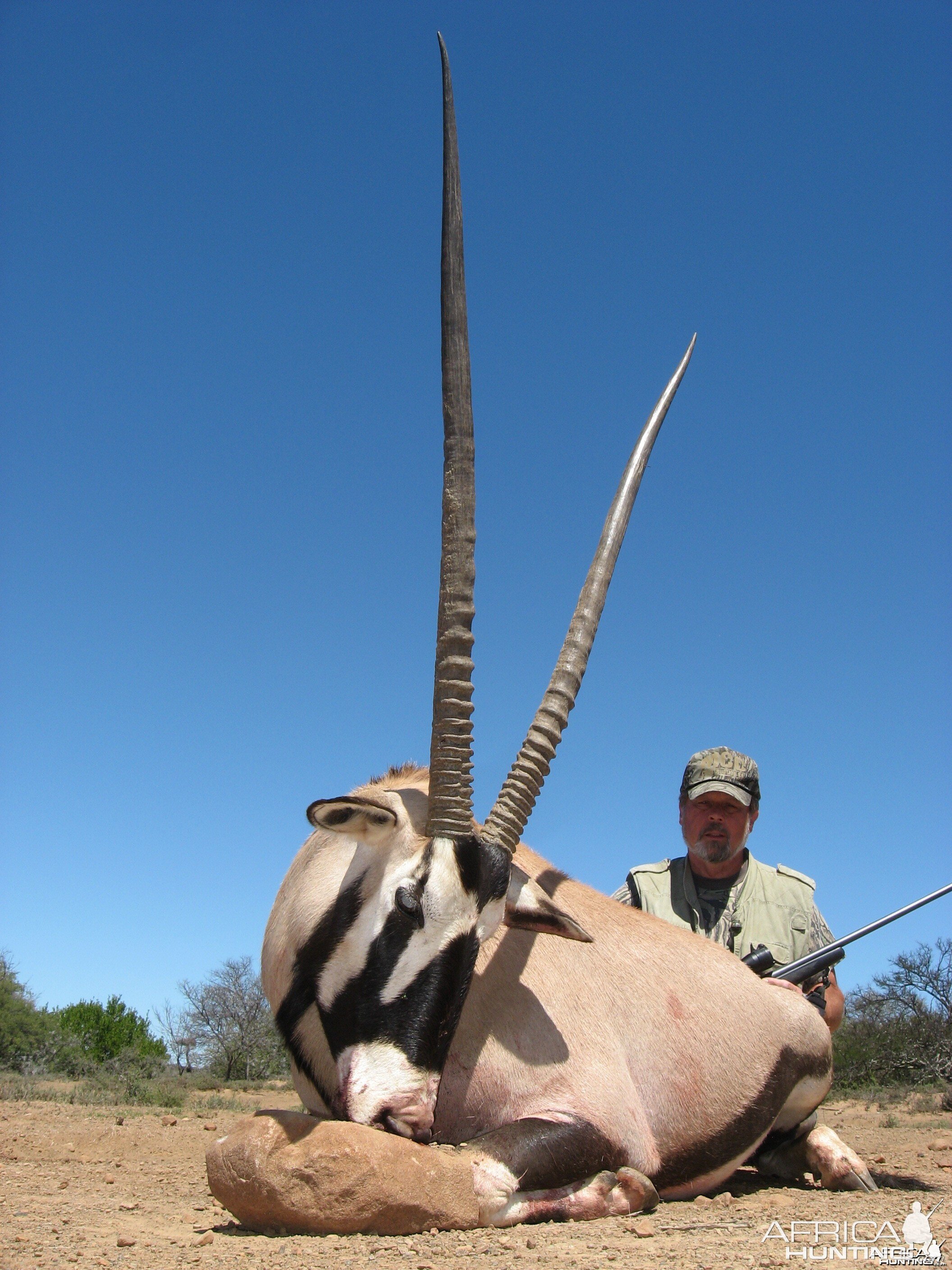 Gemsbuck hunted with Andrew Harvey Safaris