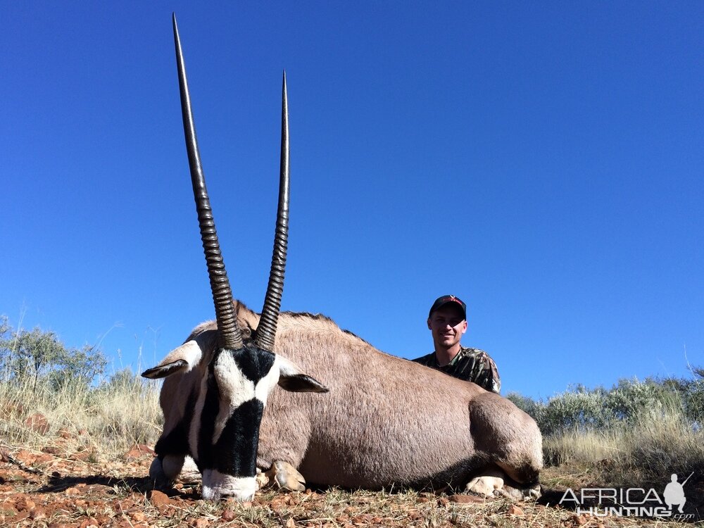 Gemsbuck Hunting South Africa