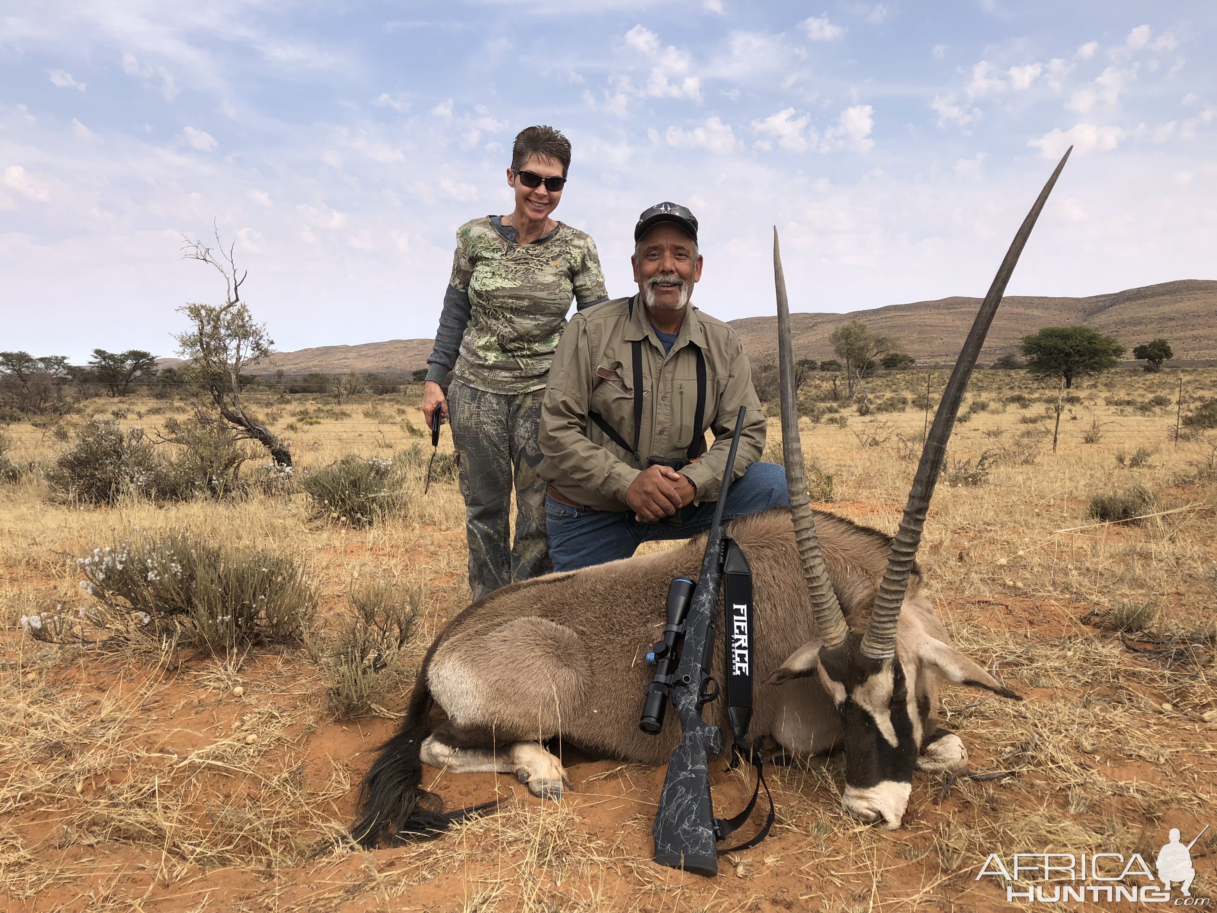 Gemsbuck in the Northern Cape