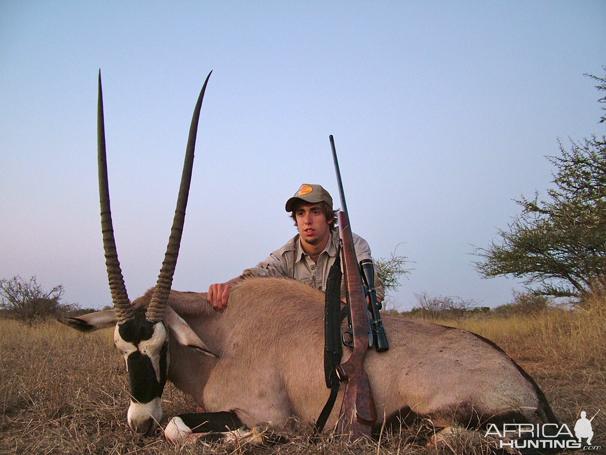 Gemsbuck ~ Limpopo Valley, RSA