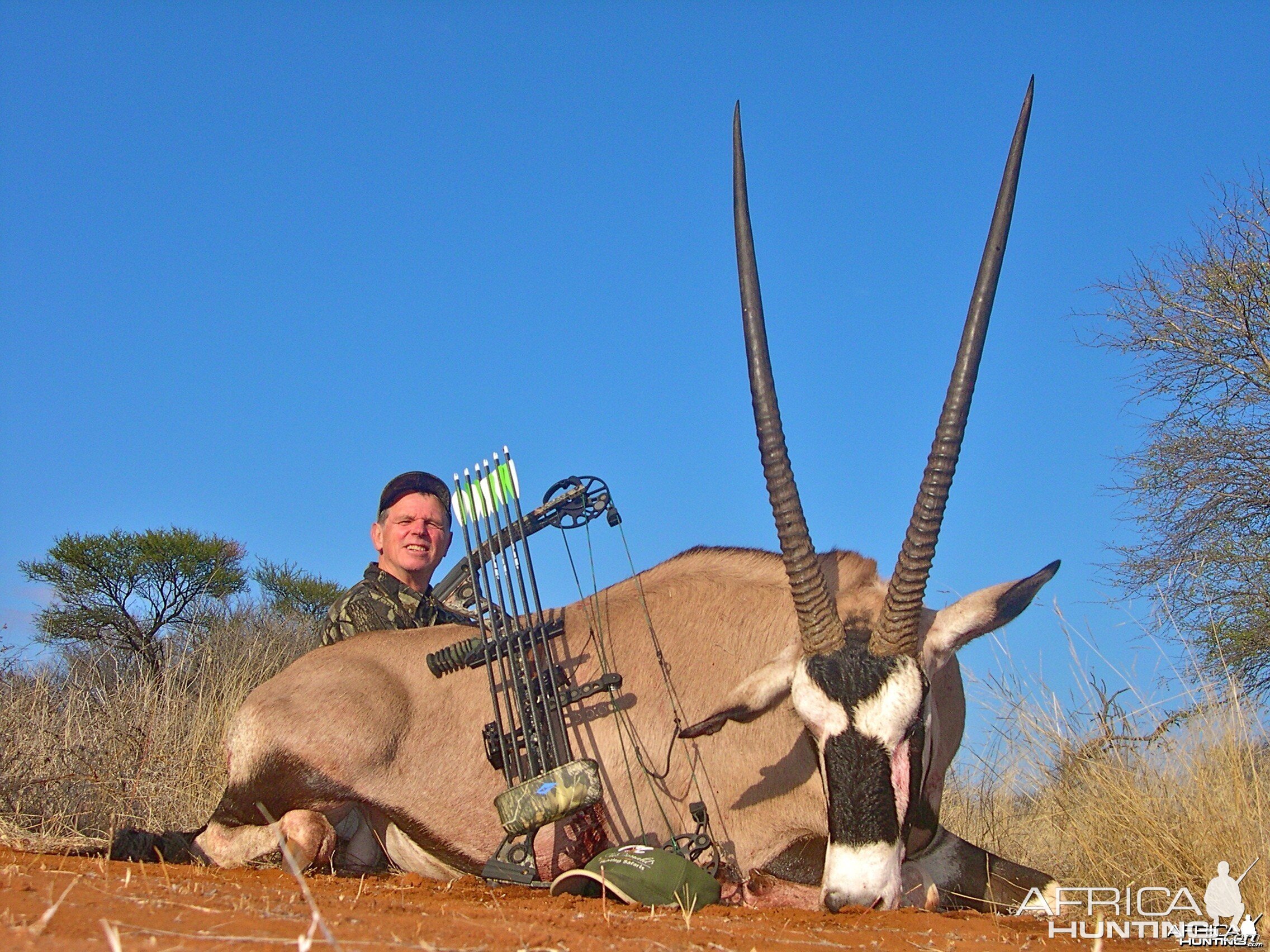 Gemsbuck ~ Limpopo Valley, RSA