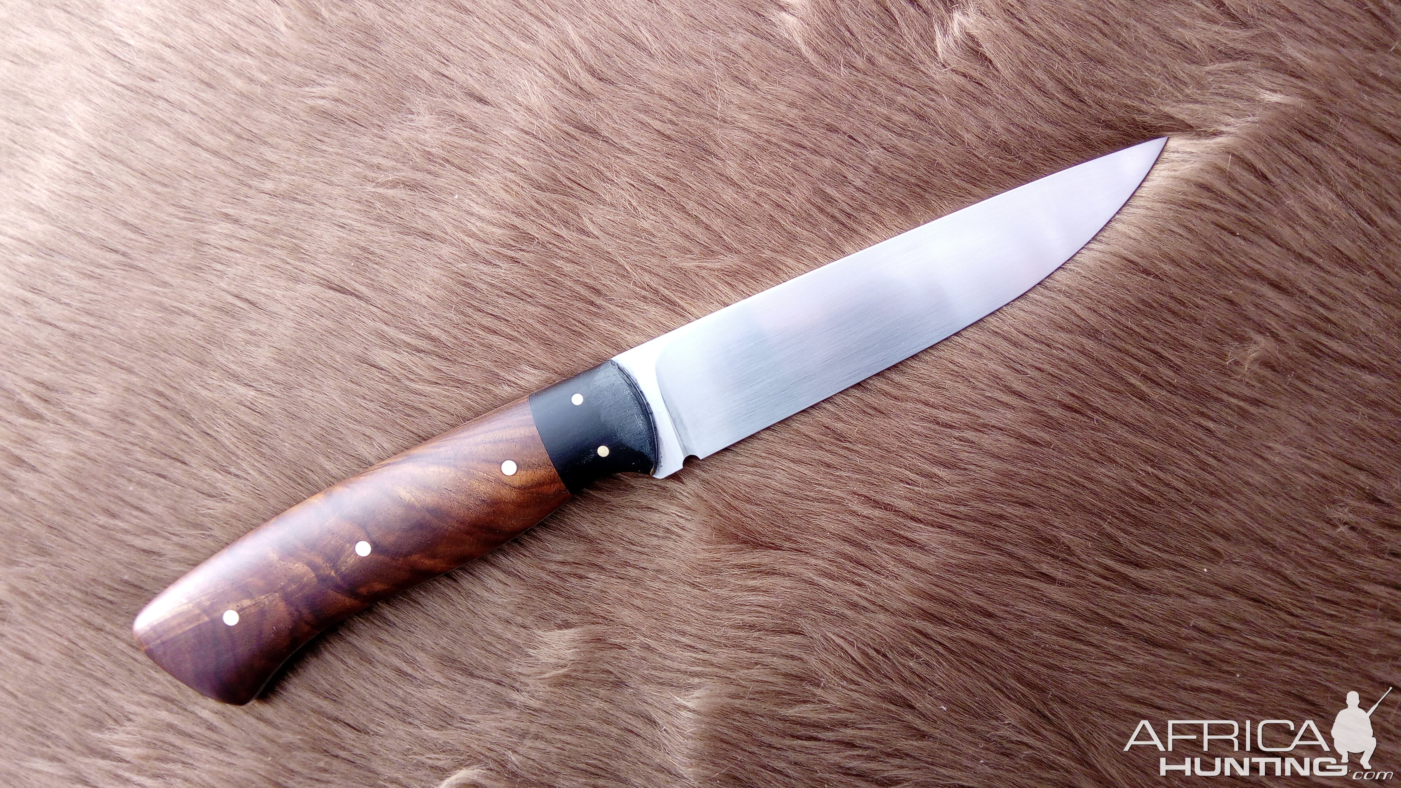 General Purpose Knife with special selection NZ Walnut