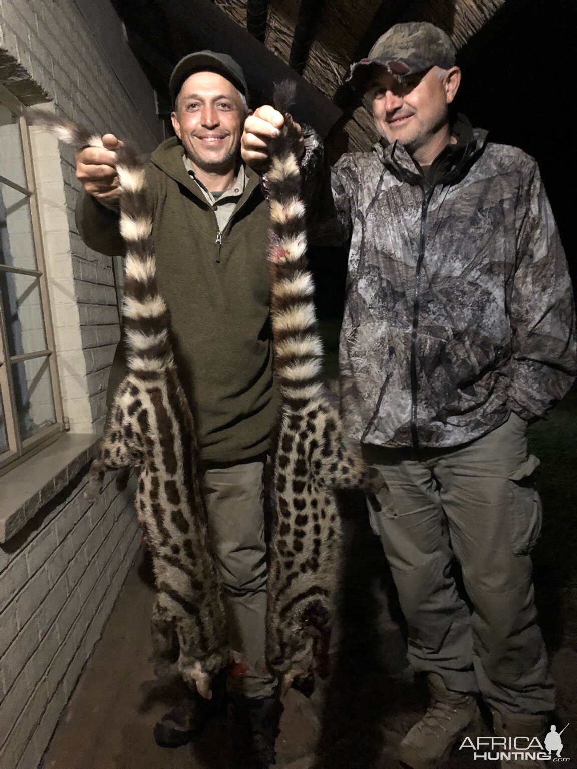 Genet Cat Hunt Zimbabwe