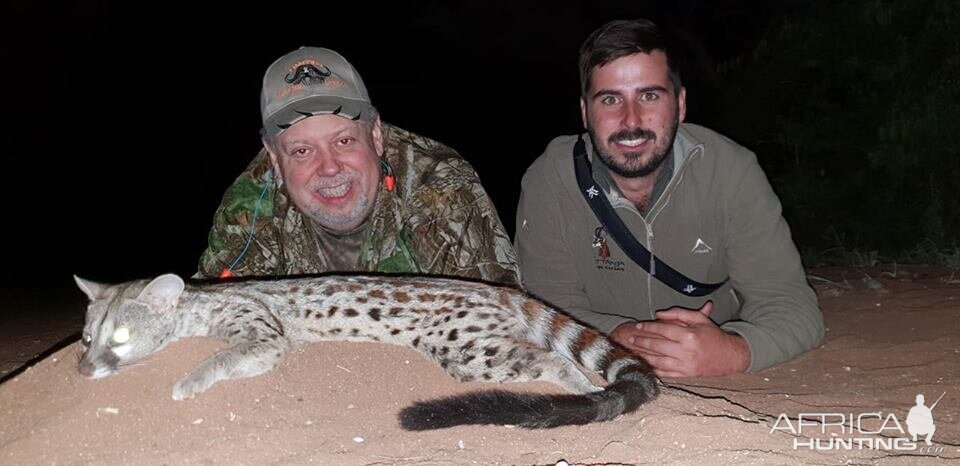 Genet Cat Hunting South Africa