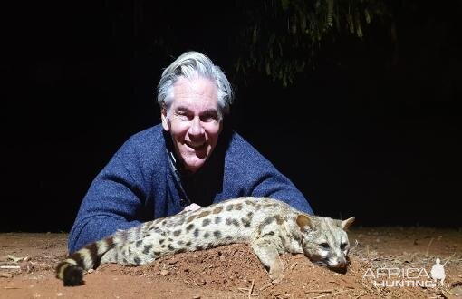 Genet Cat Hunting South Africa