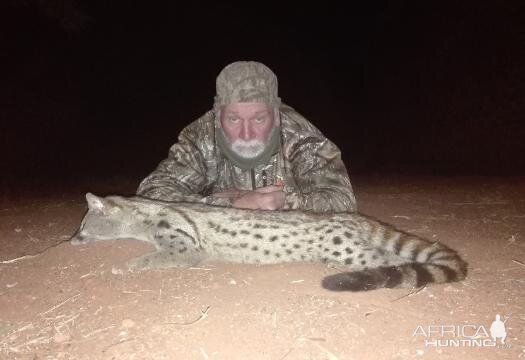 Genet Cat Hunting Sunset Safaris