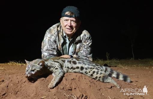 Genet Cat Hunting Sunset Safaris