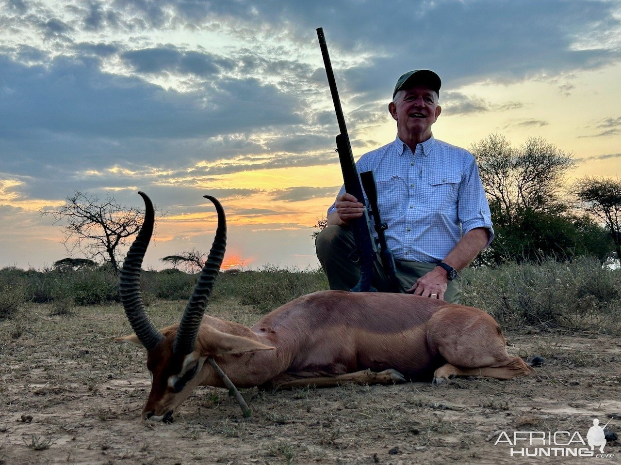 Gerenuk Hunt Masaailand