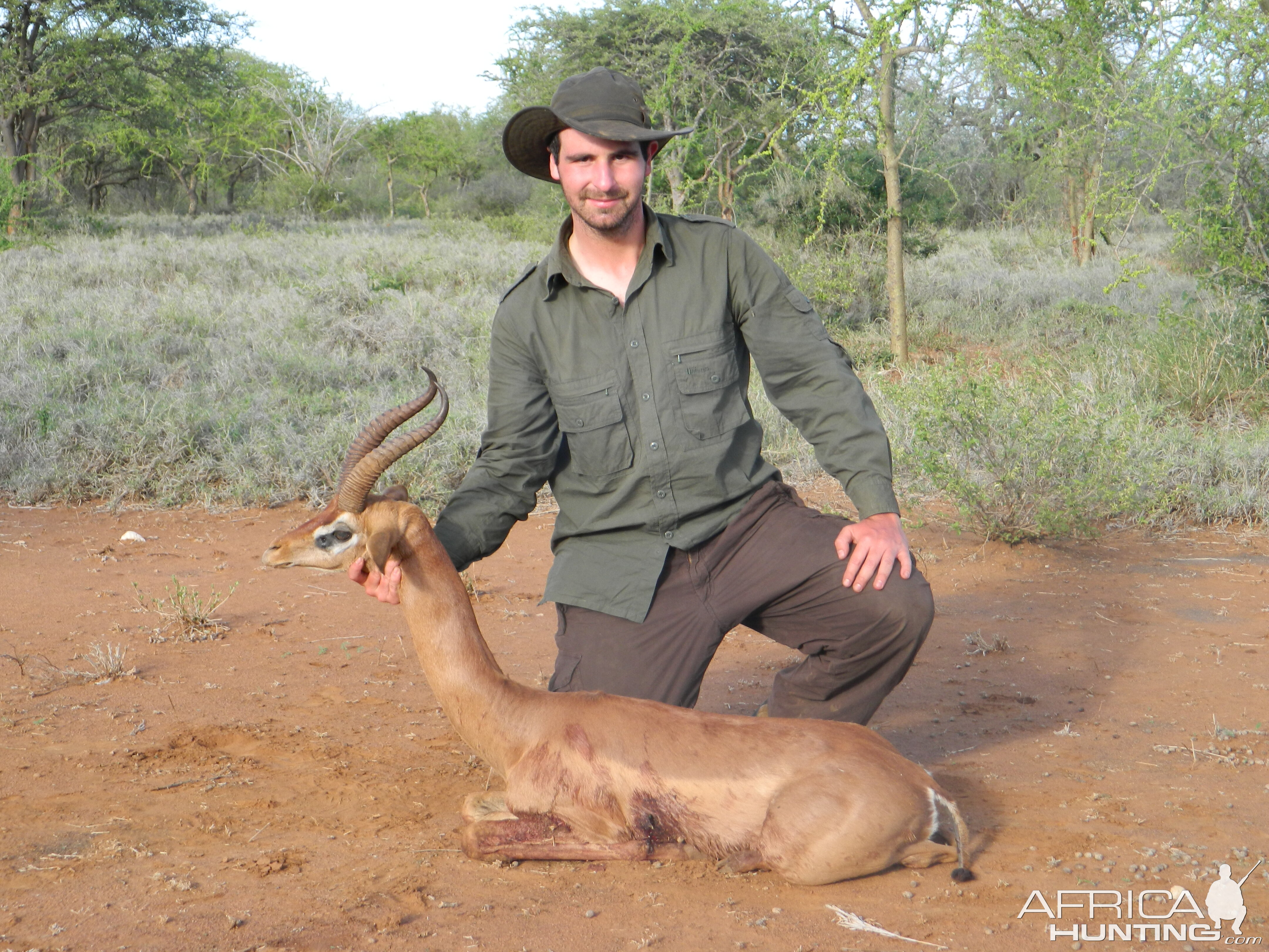 Gerenuk Hunt Masailand