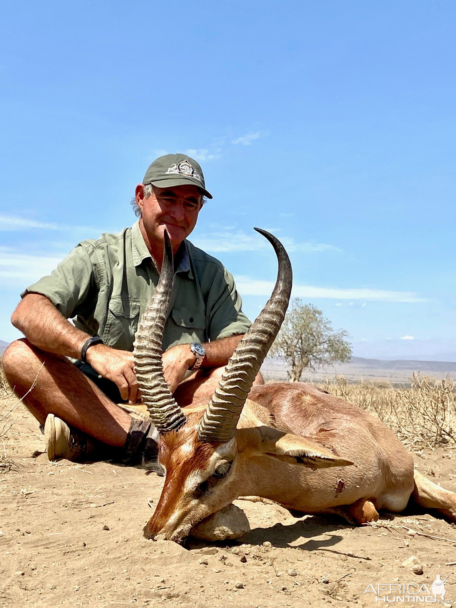 Gerenuk Hunt Tanzania