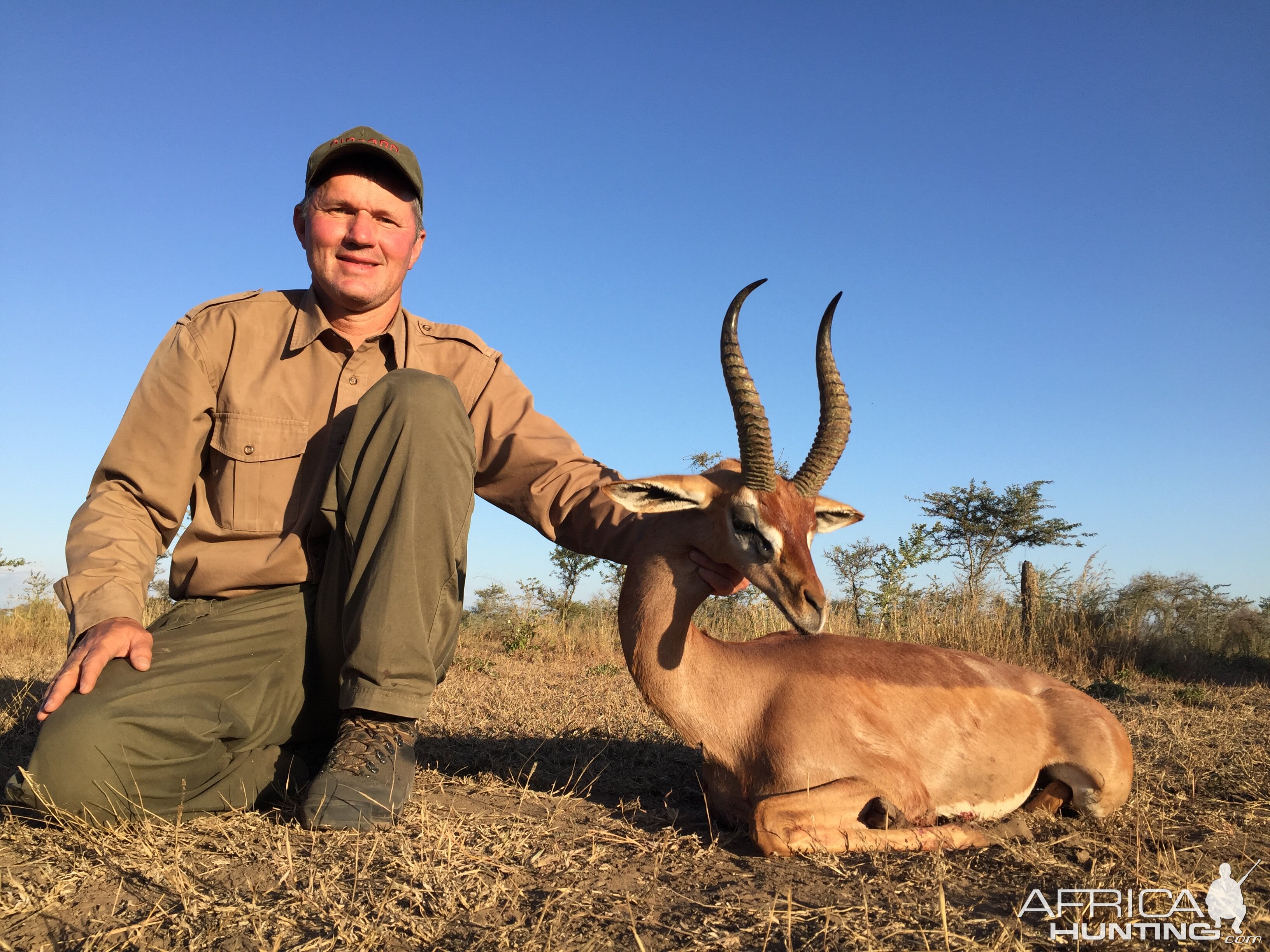 Gerenuk Hunt Tanzania