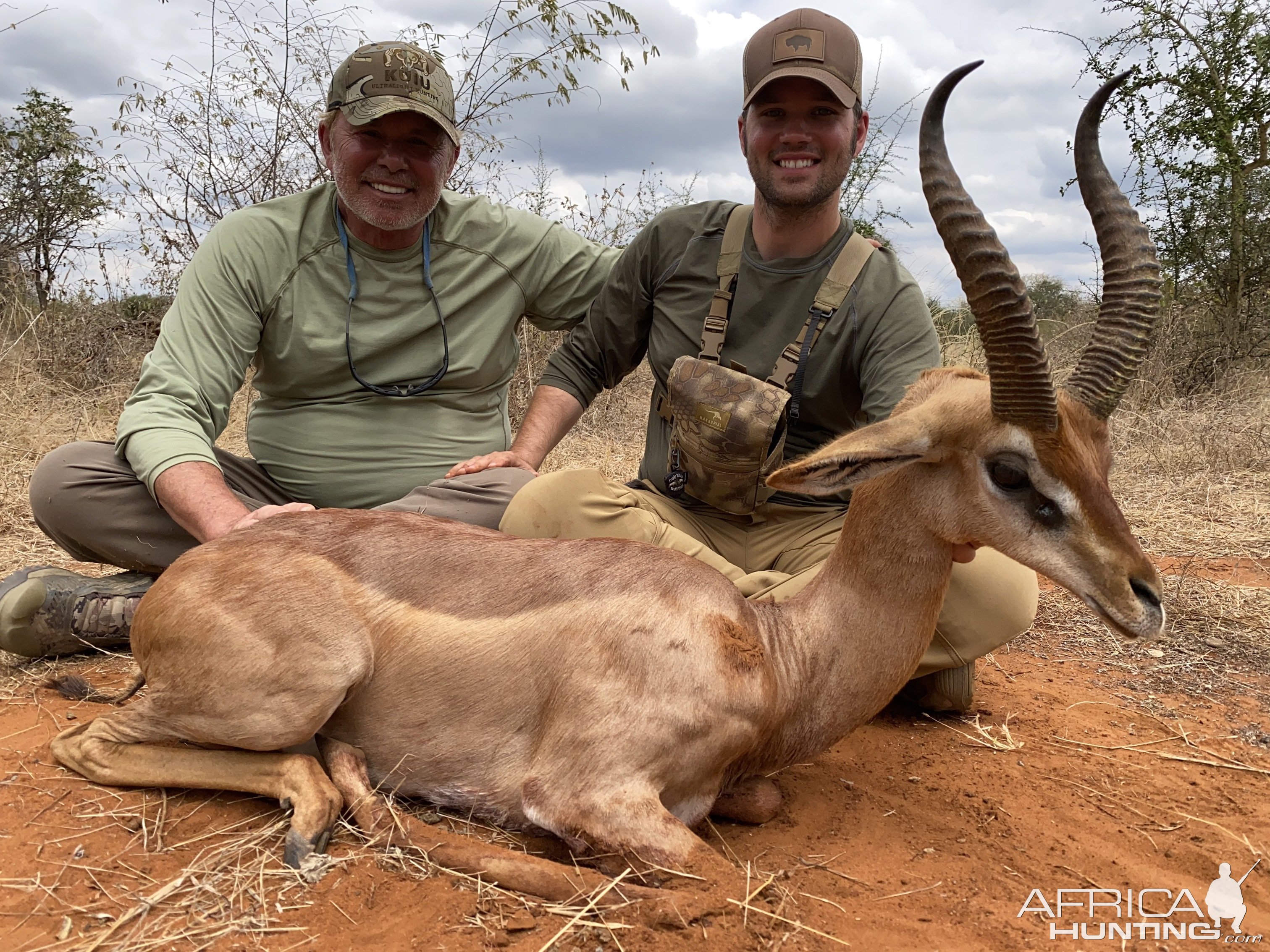 Gerenuk Hunting Tanzania