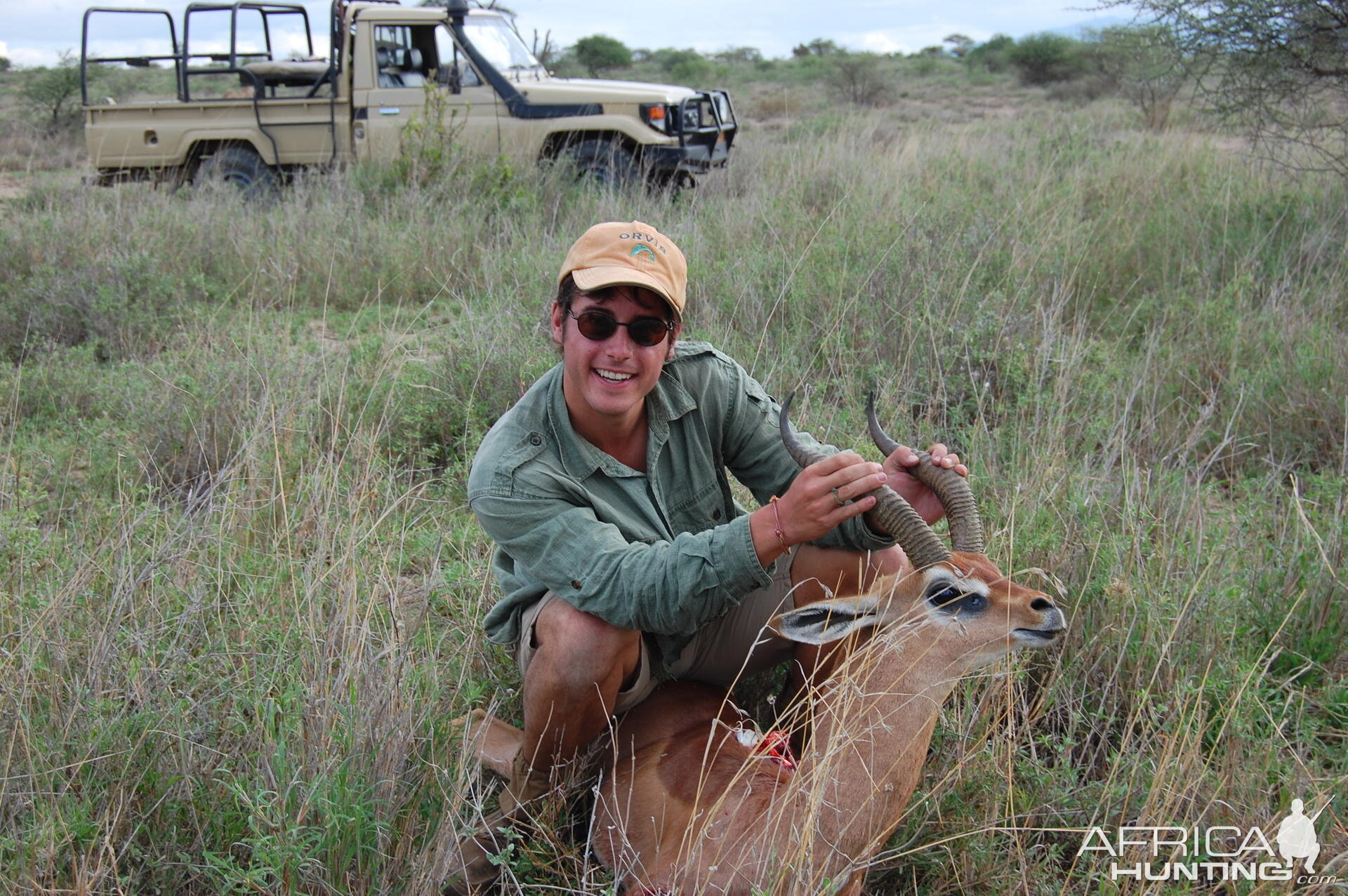 Gerenuk Tanzania