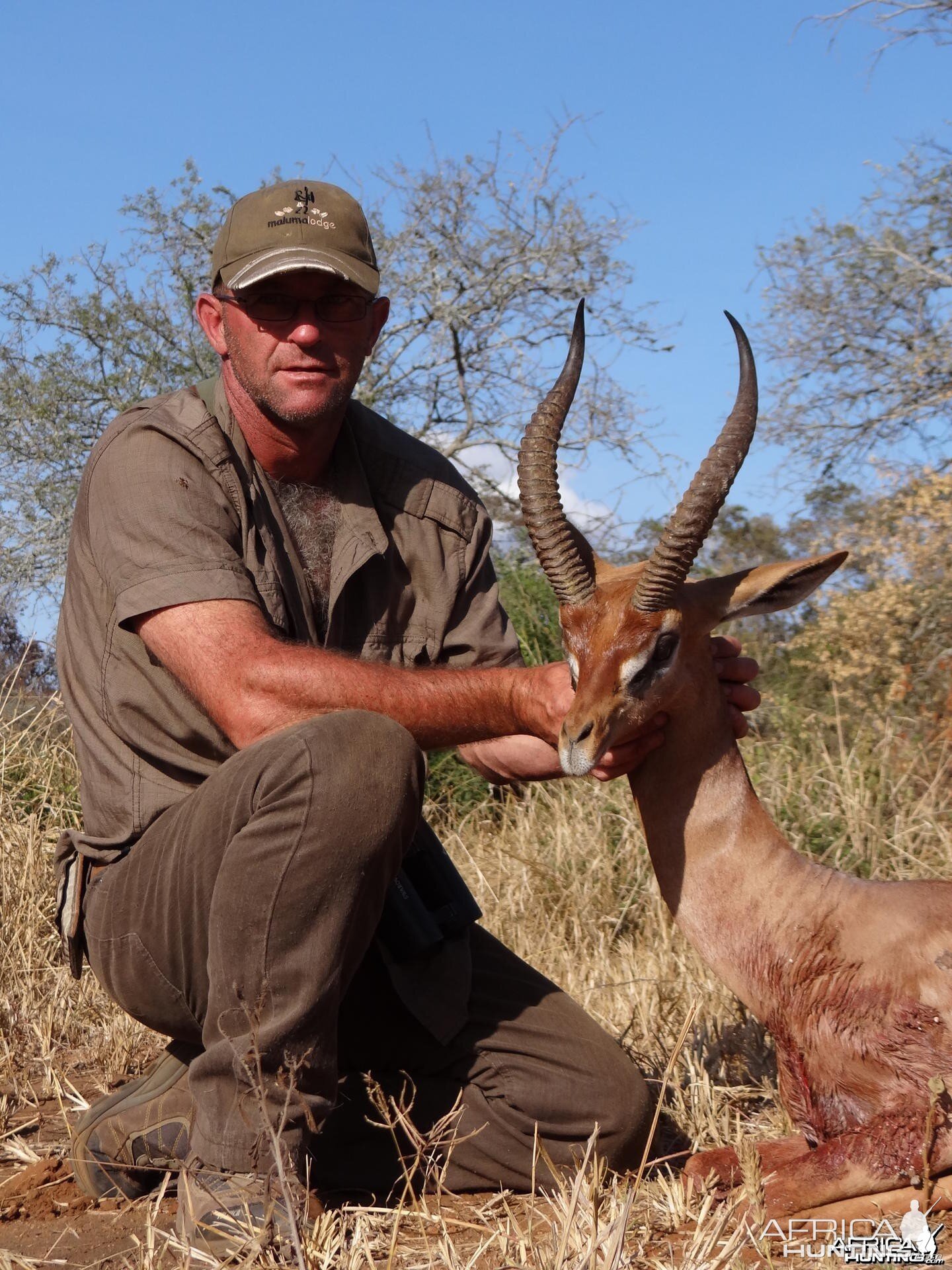 Gerenuk Tanzania