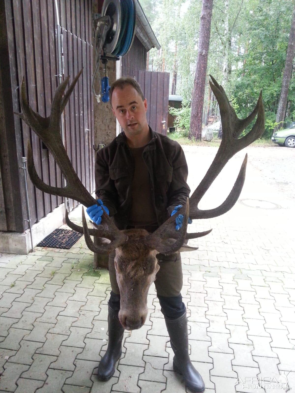 Germany Hunt Red Stag