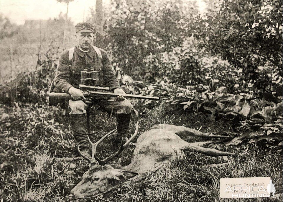 Germany Hunt Red Stag