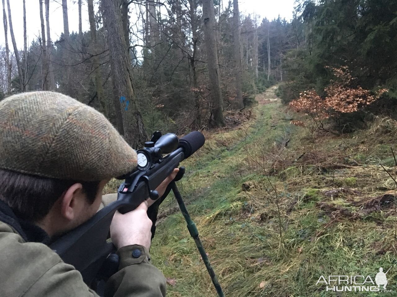 Germany Hunting