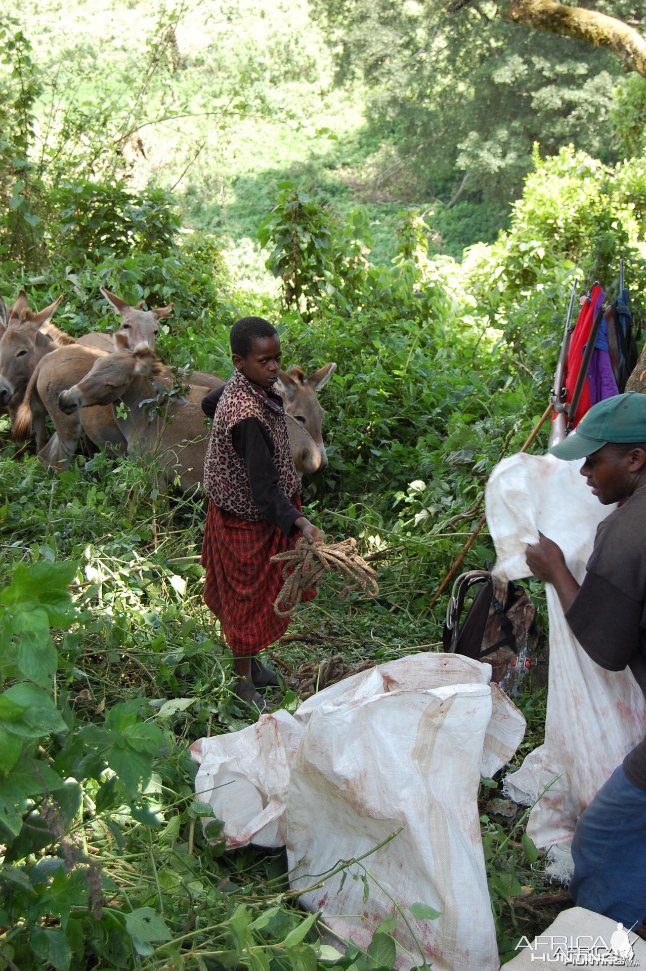 Getting the Buffalo Meat Tanzania