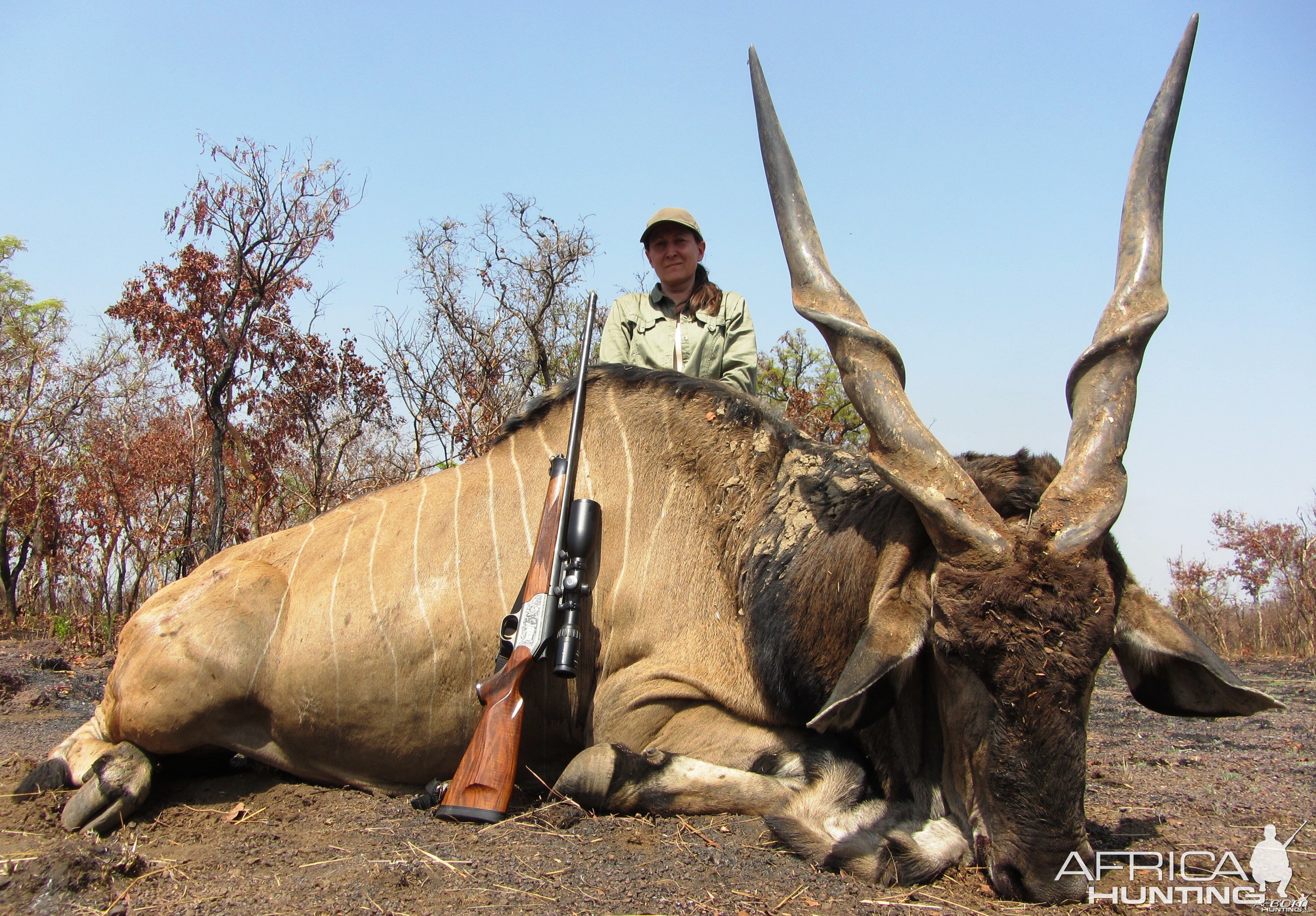 Giant Derby Eland hunted in CAR