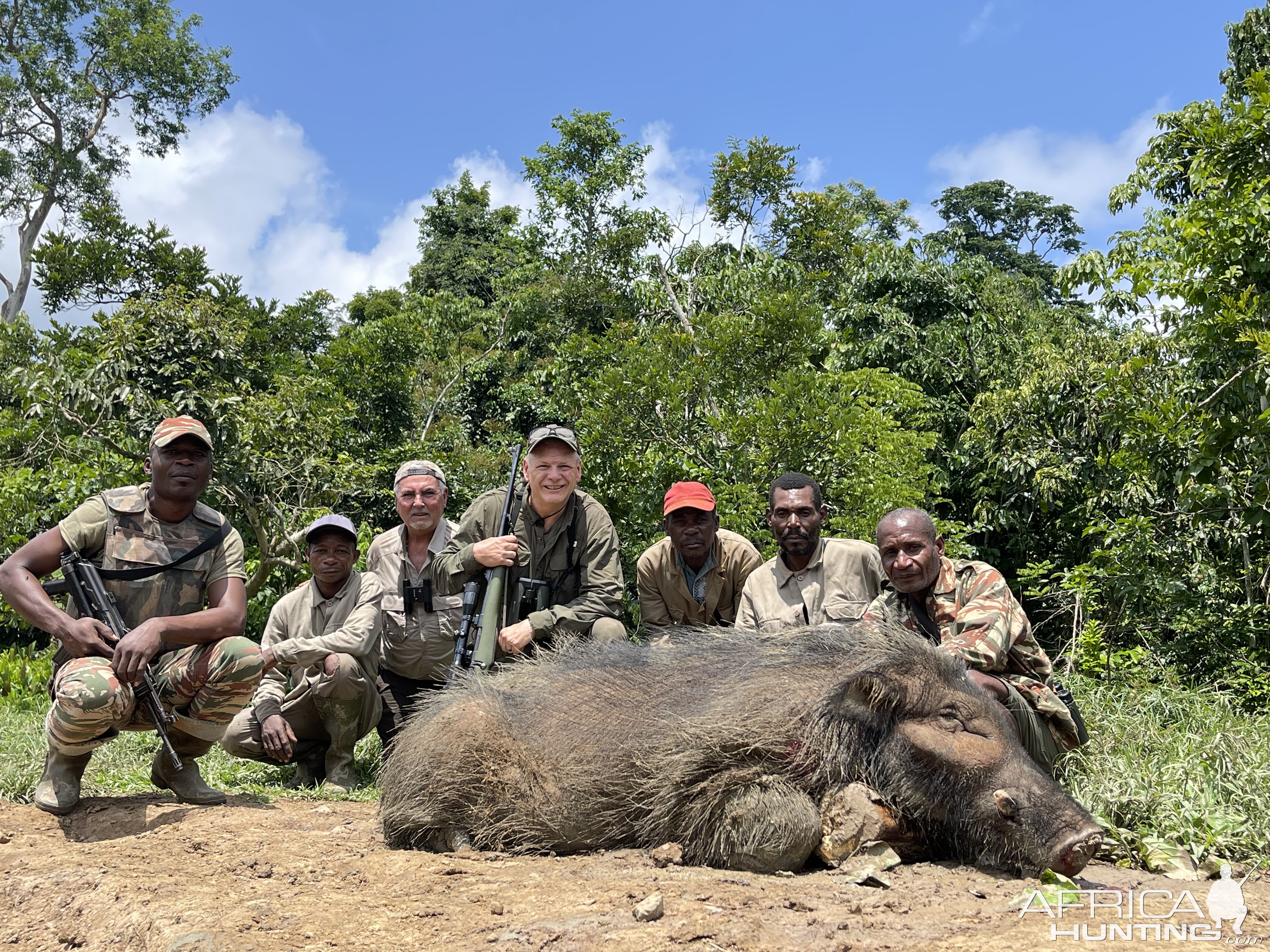 Giant Forest Hog Hunt Cameroon